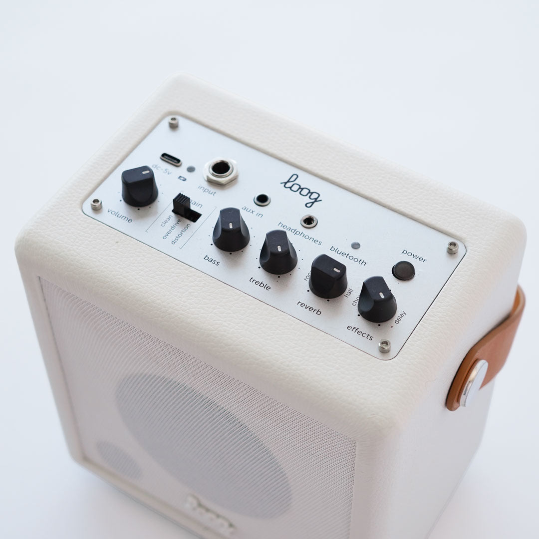 Loog Mini Amp Pro (collective)