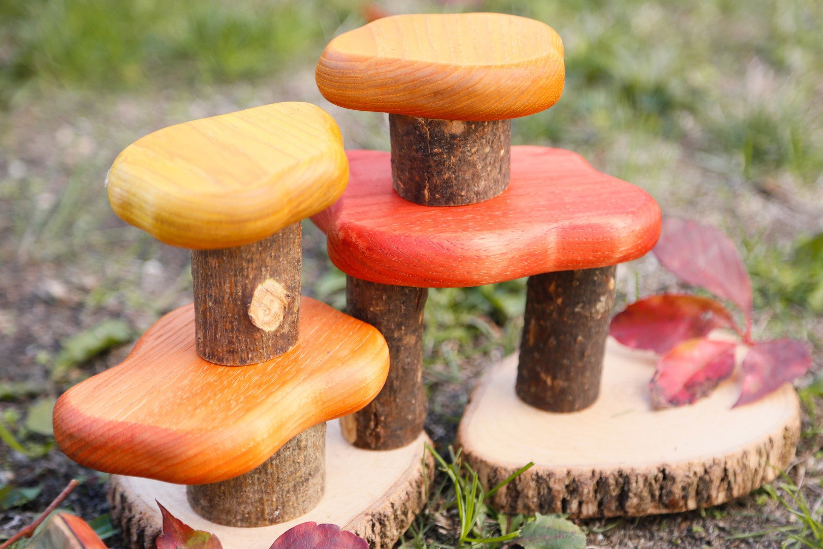 Autumn Treetop Playscapes 4- Piece Set