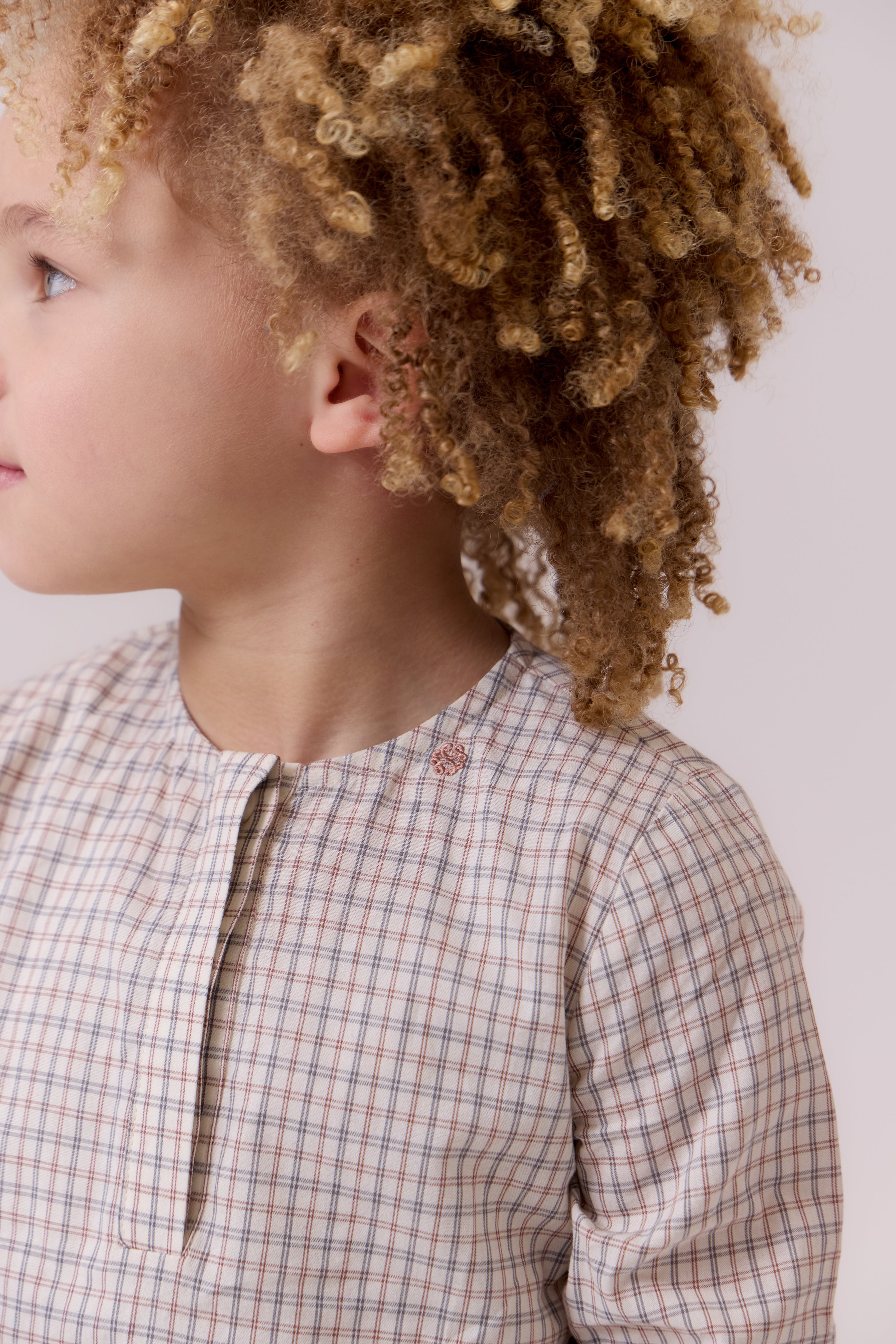 Oz Micro Plaid Shirt