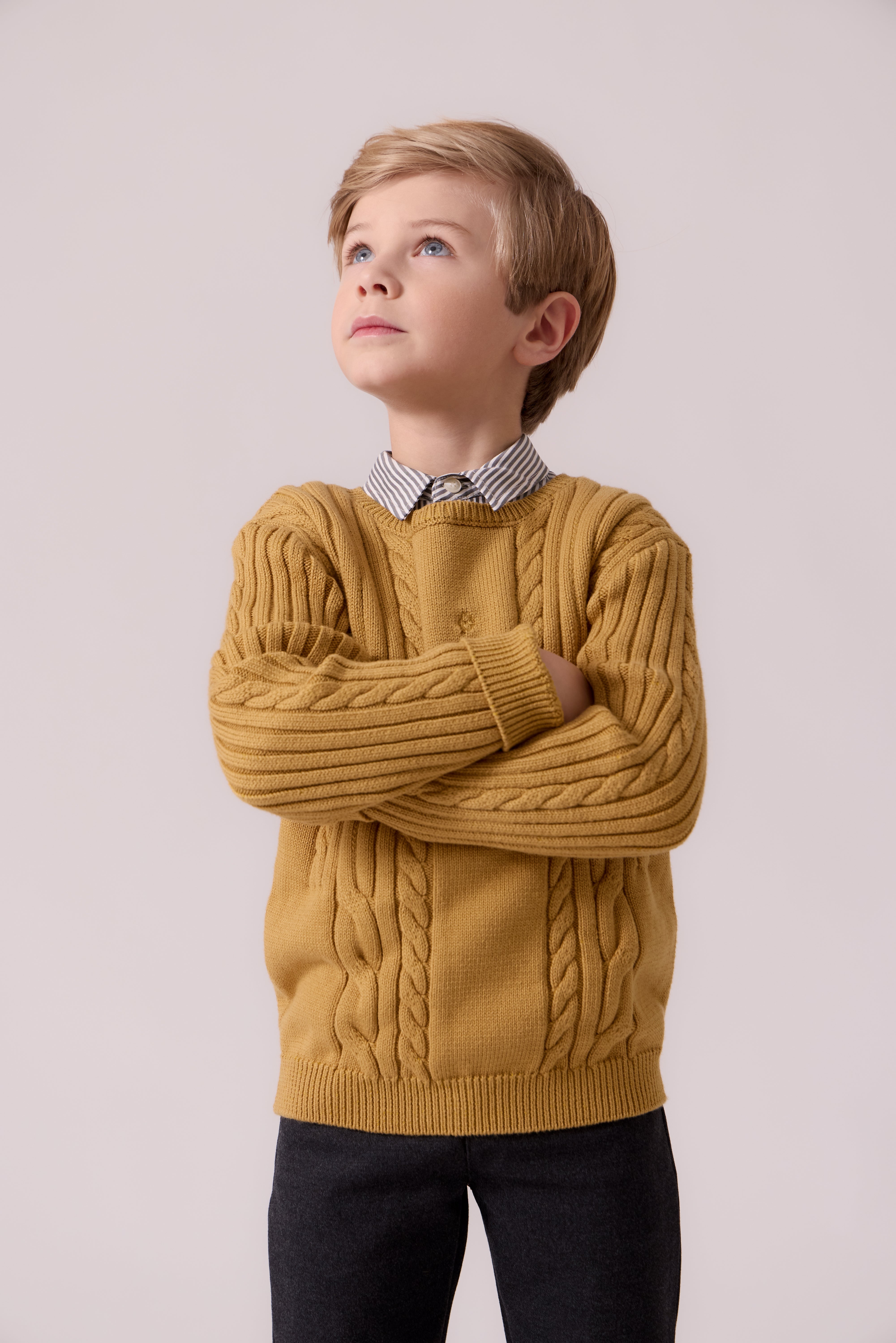 Sean Cable Knit Sweater - Mustard