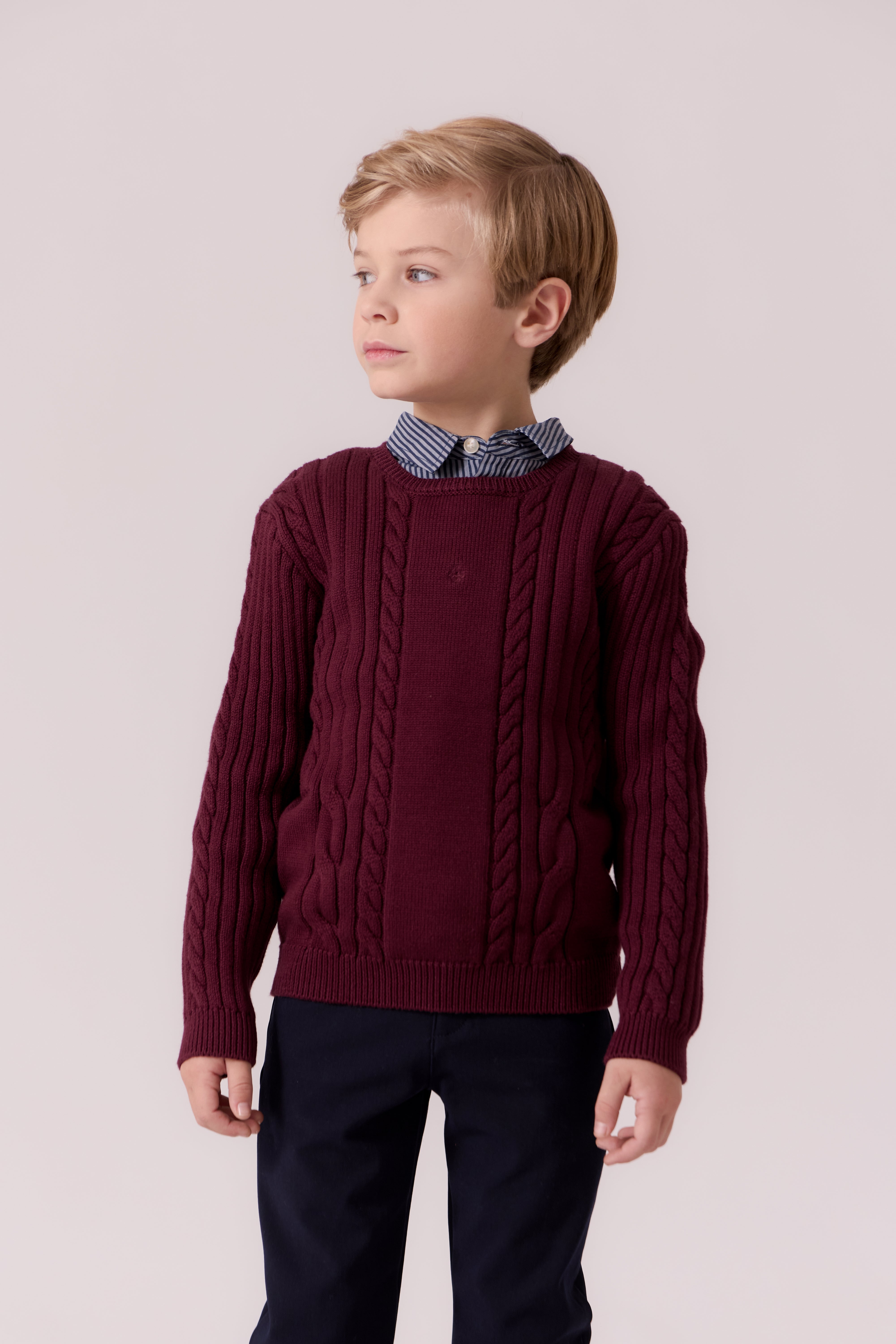 Sean Cable Knit Sweater - Cranberry
