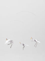 Crane Dance.