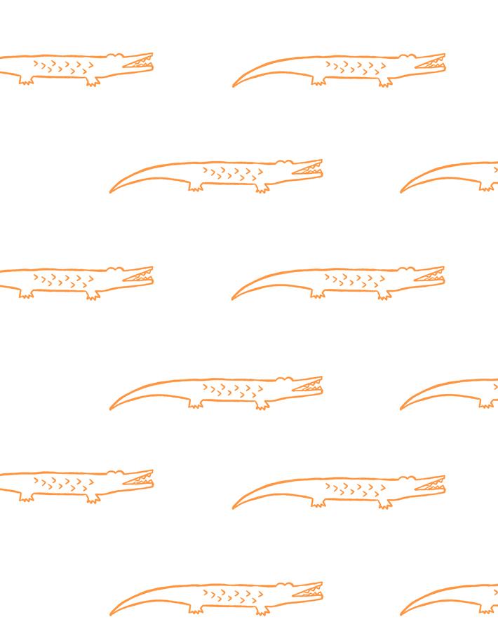 'crocodile' Wallpaper By Tea Collection - Pushpop