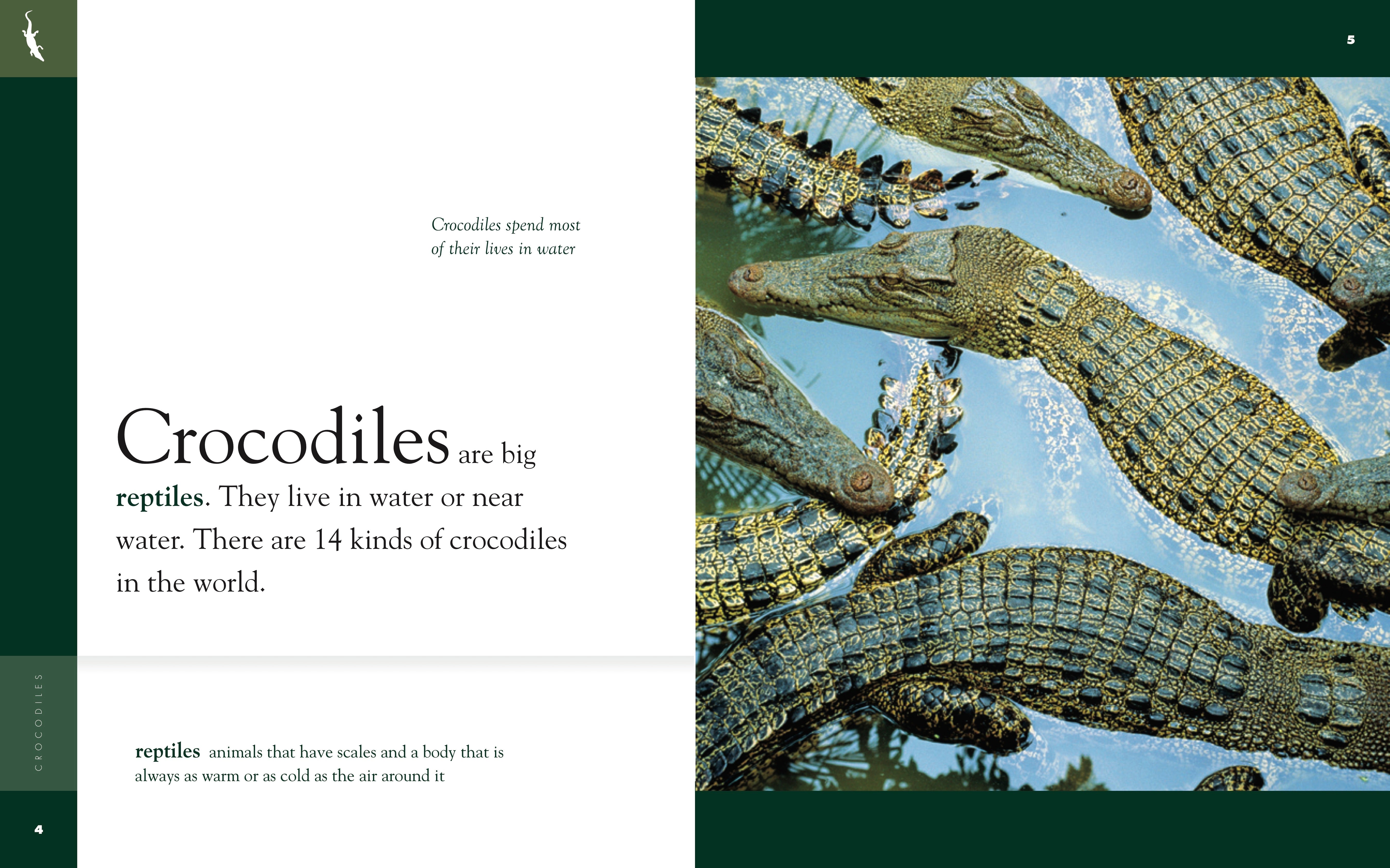 Amazing Animals (2014): Crocodiles by The Creative Company