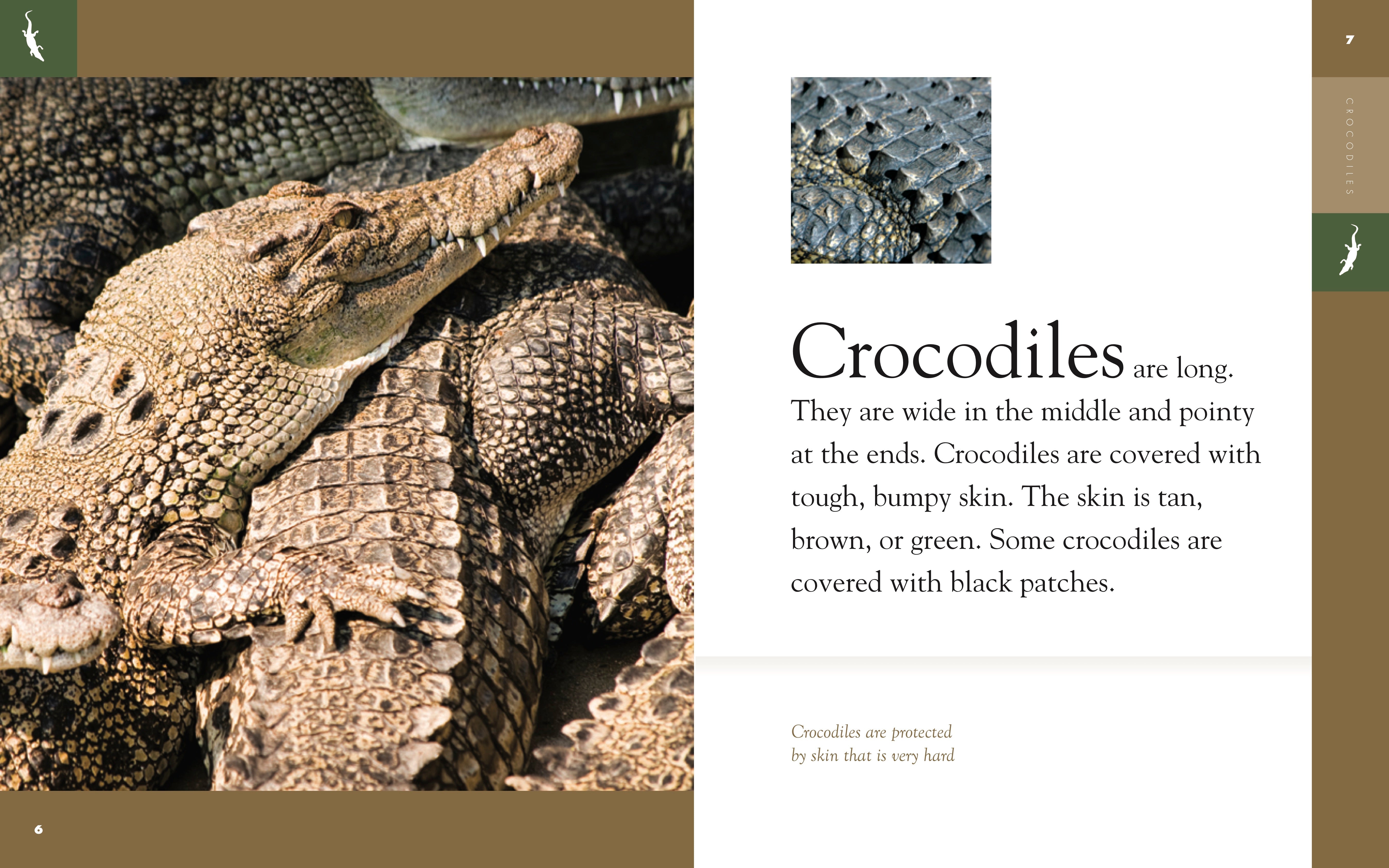 Amazing Animals (2014): Crocodiles by The Creative Company