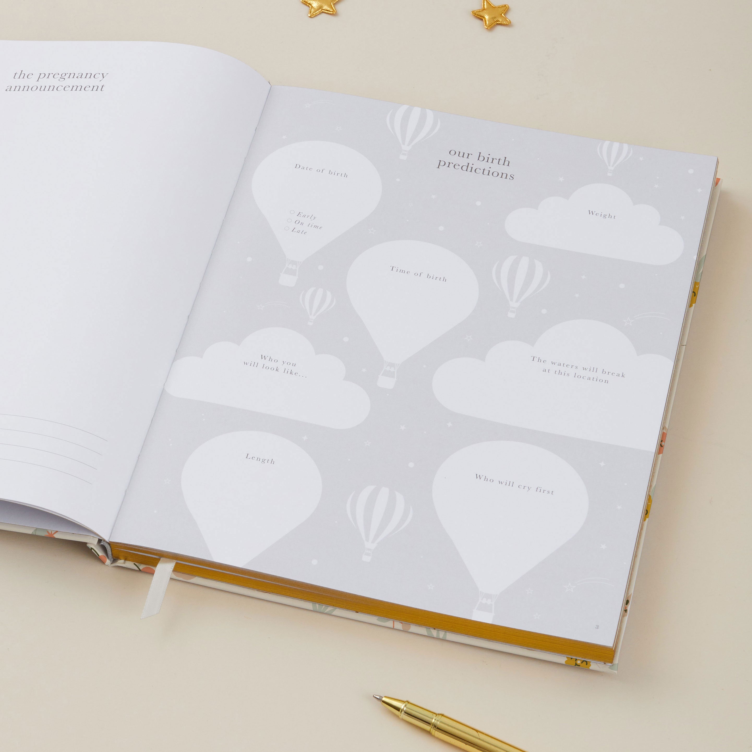 My Pregnancy Journal - Tutti Frutti