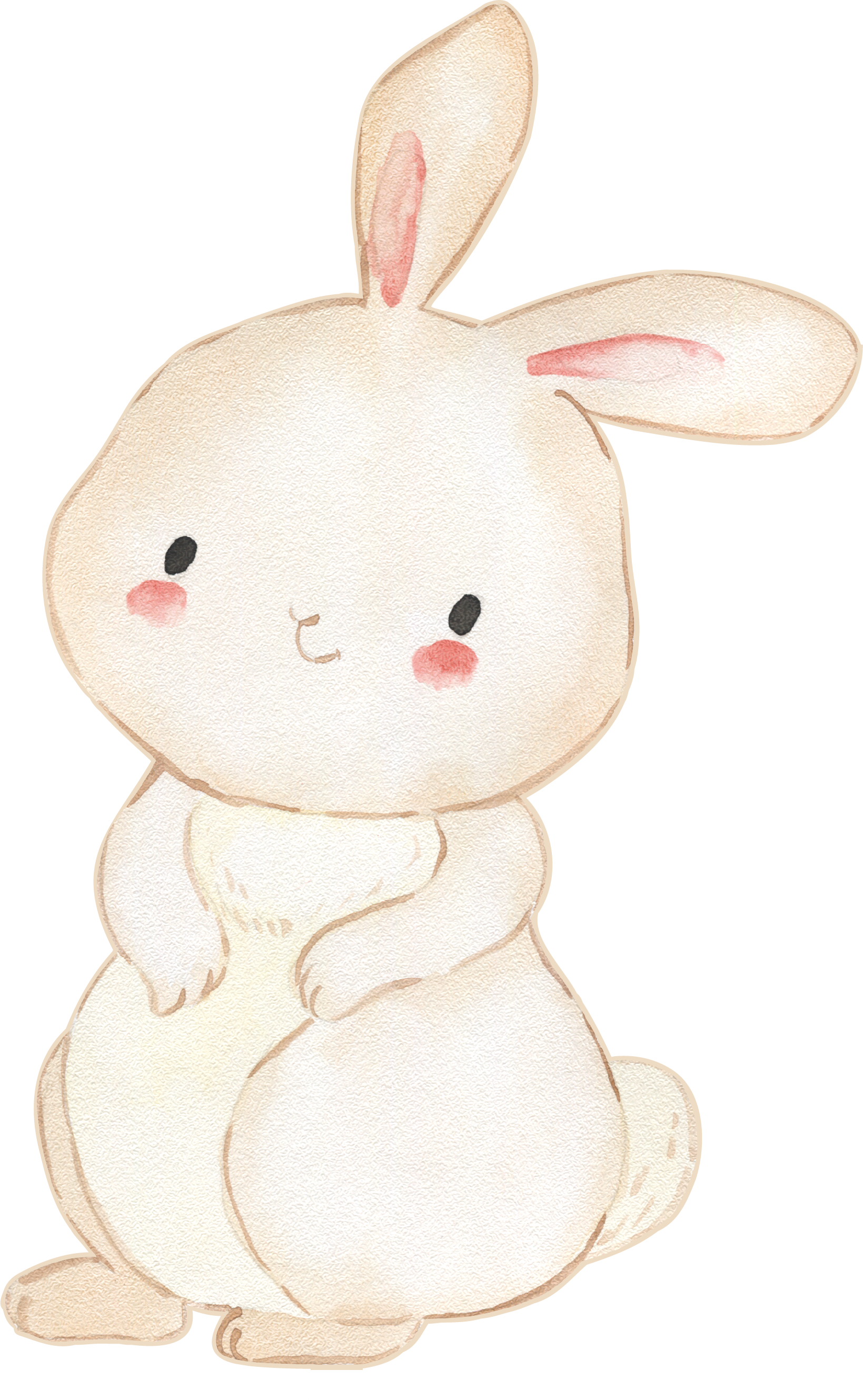 Cute Bunny