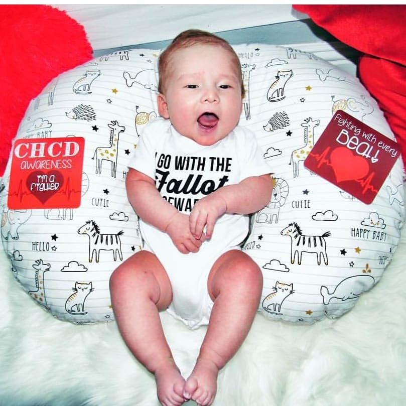 Chd Heart Warrior Plastic Moment Cards