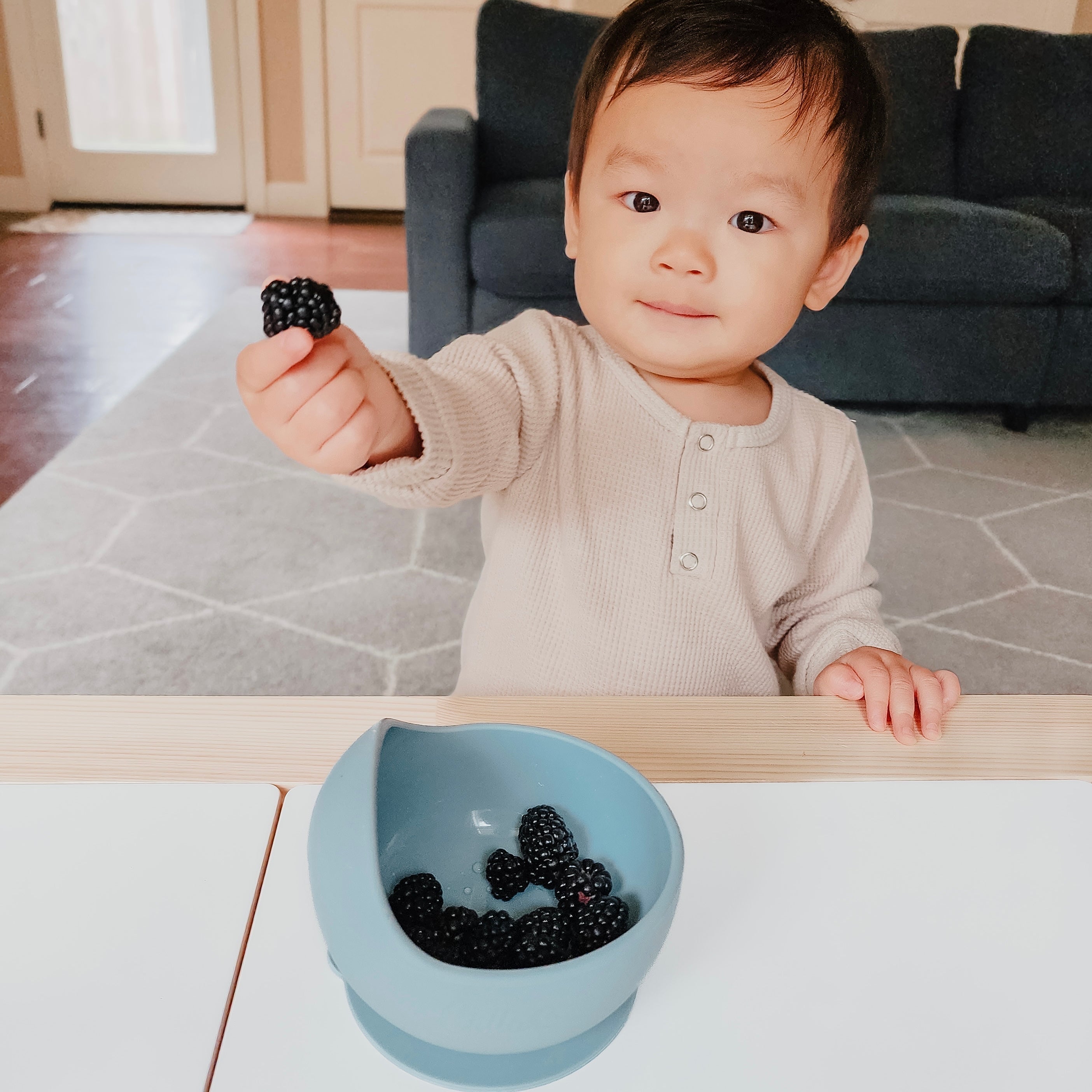 Easy Scoop Suction Bowl