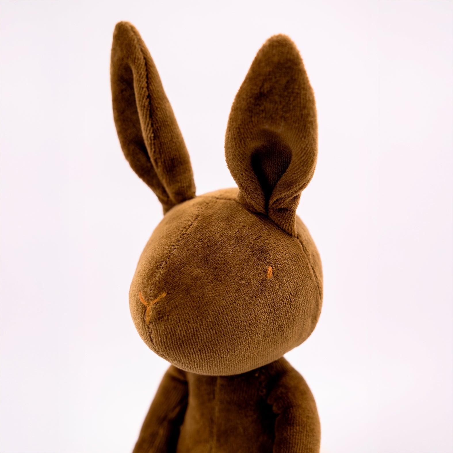 Daniel The Rabbit - M