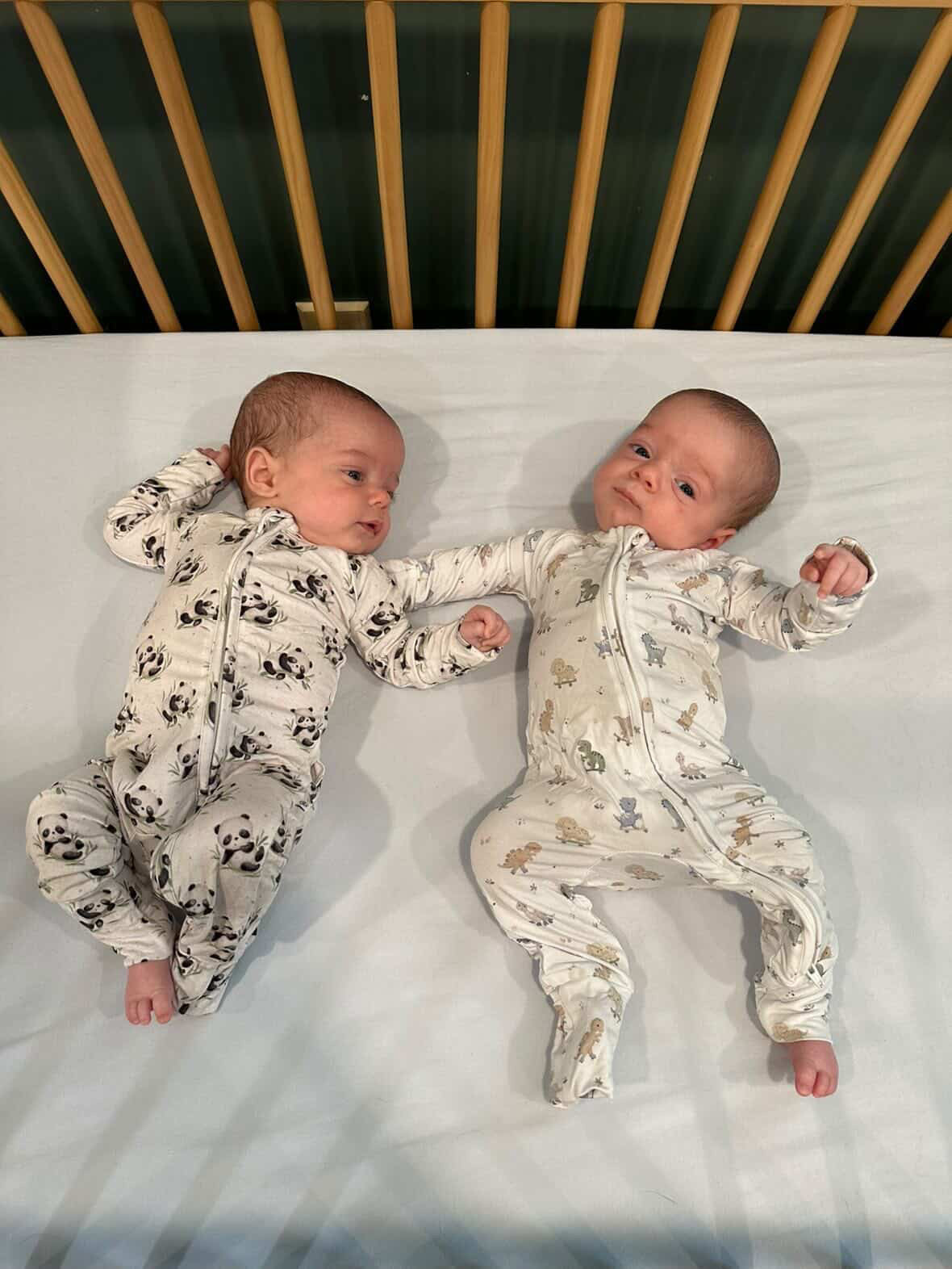 Dino Derby Zippered Baby Romper