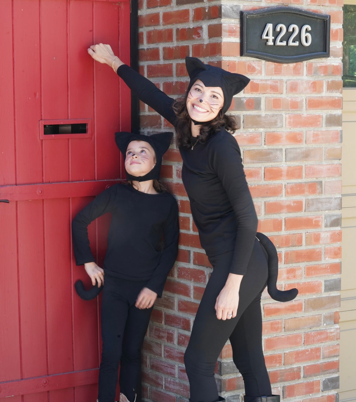 Adult Black Cat Hat & Tail Set, Halloween Costume