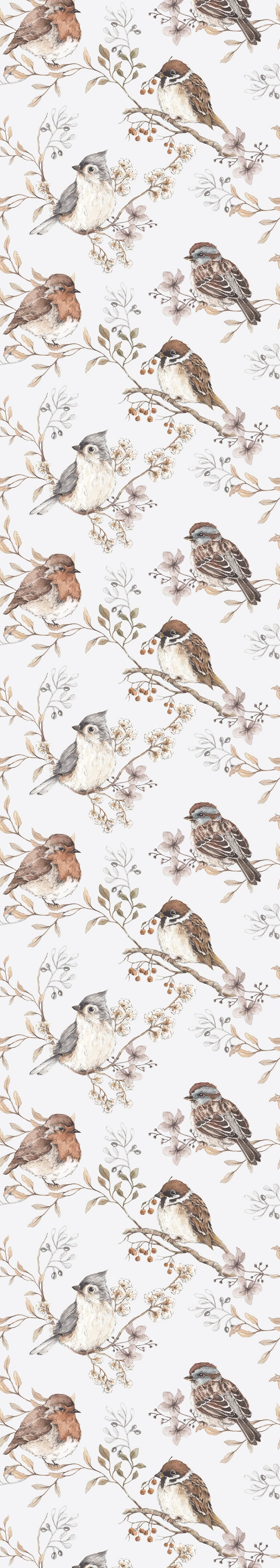 White/gray Birds Wallpaper