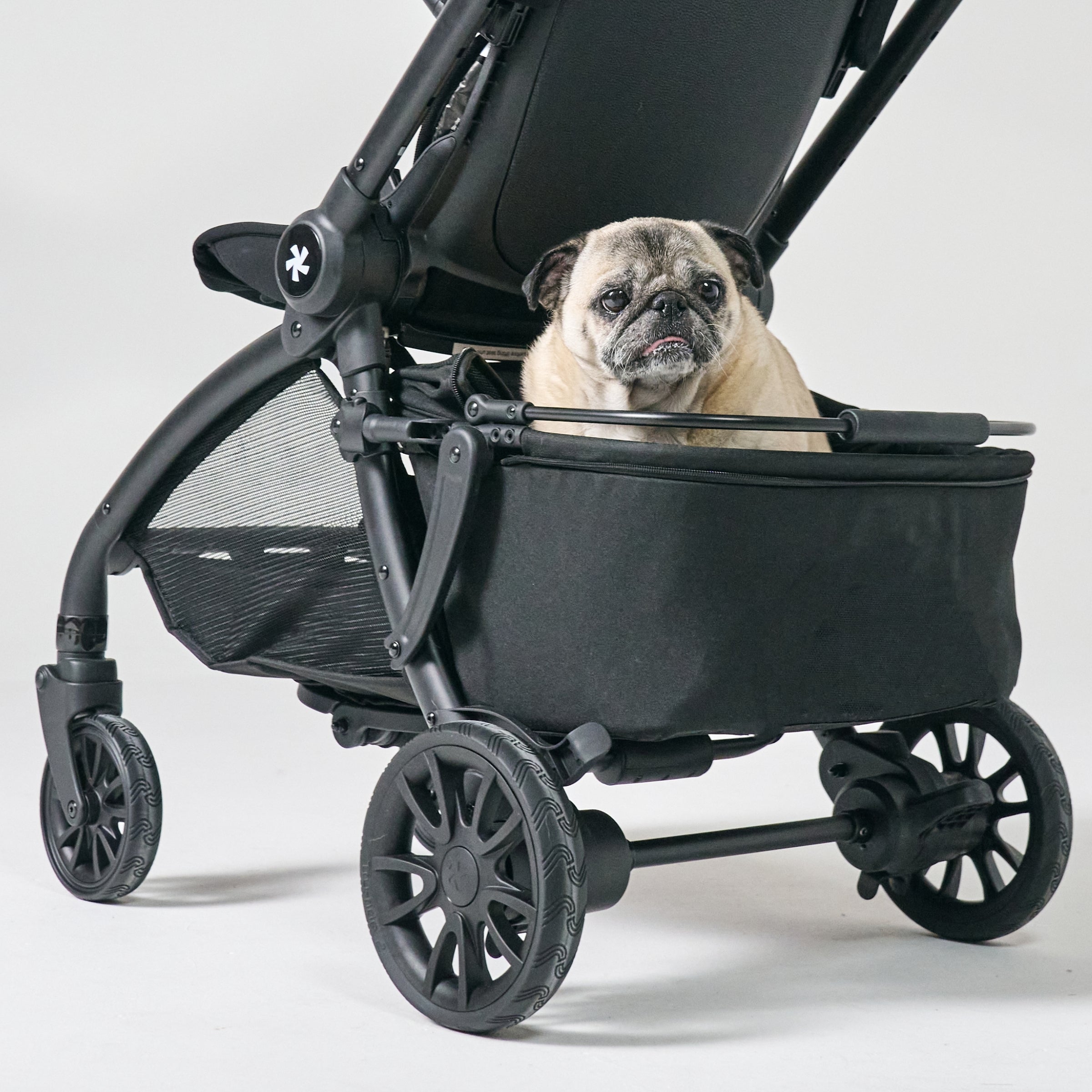 Dfy R1 Pet Basket