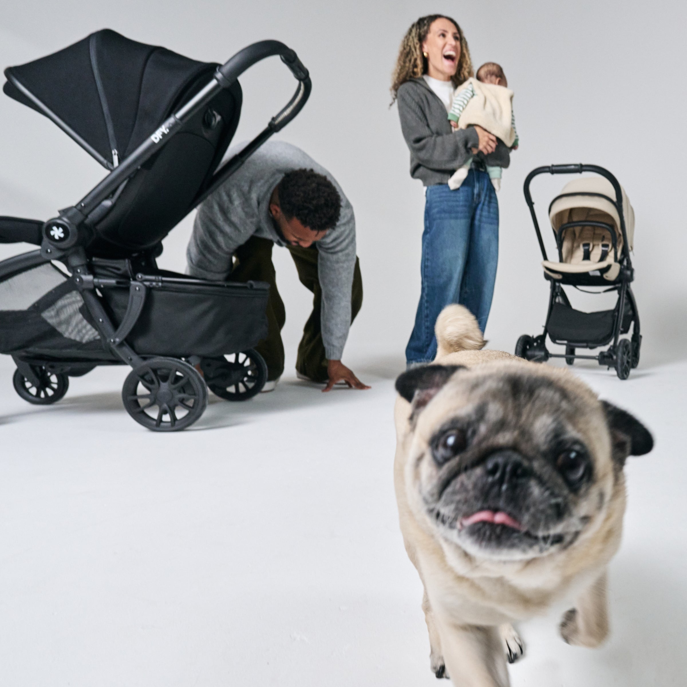 Dfy R1 Pet Basket