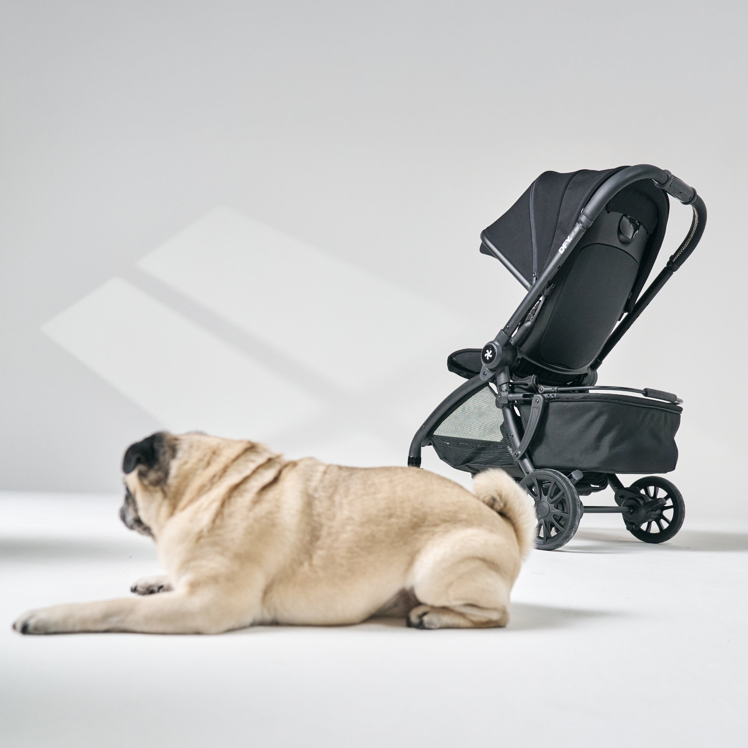 Dfy R1 Pet Basket