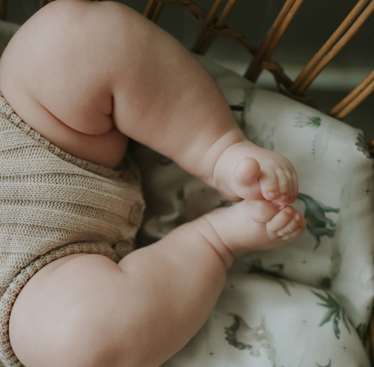 Dino Dreams Crib Sheet - Sage