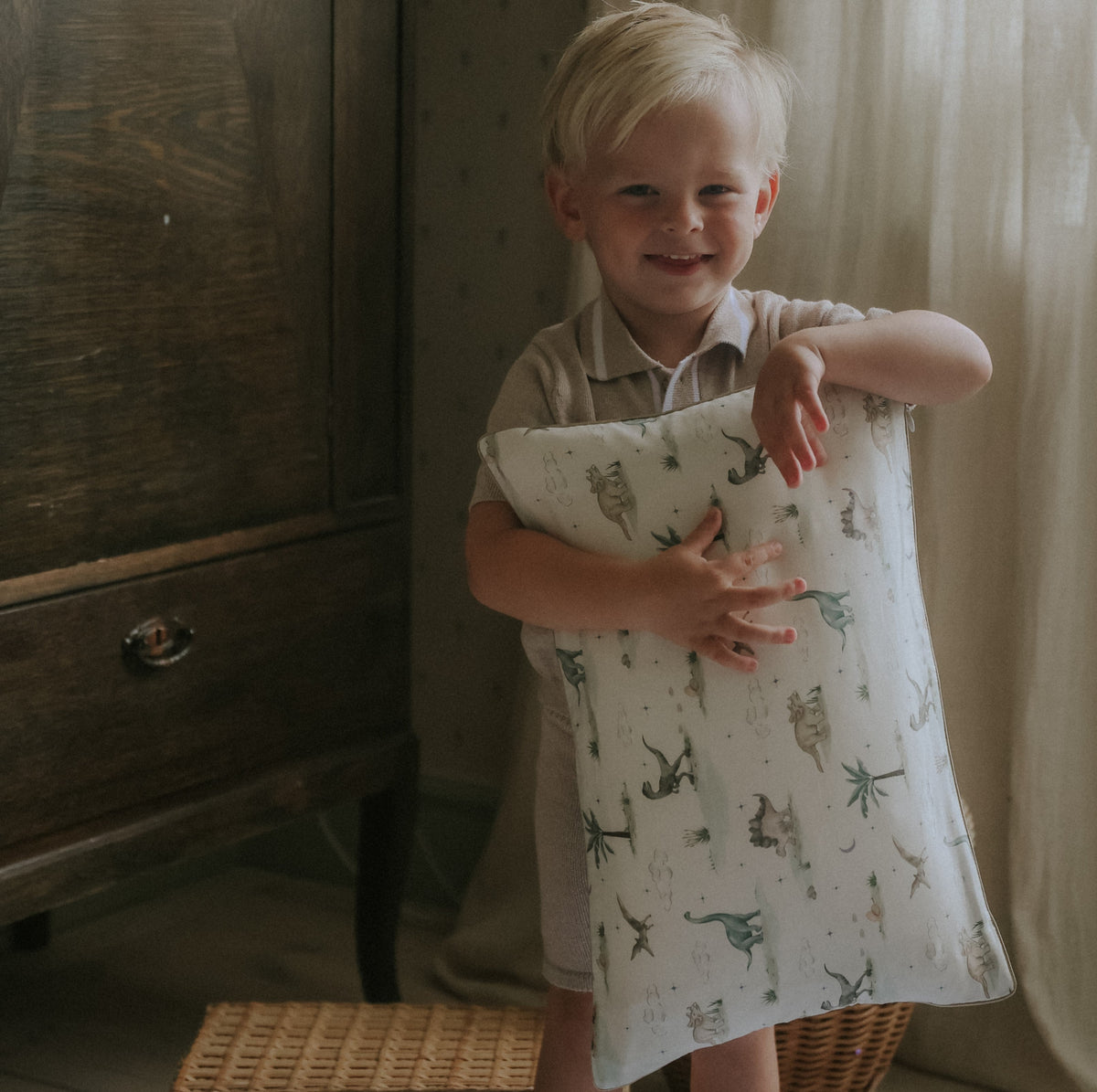 Dino Dreams Toddler Pillow - Sage