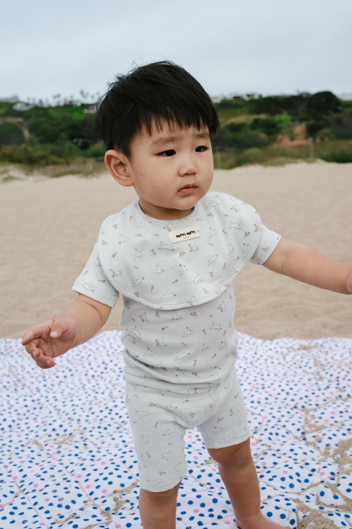Berry Cotton Pj Set - Boys