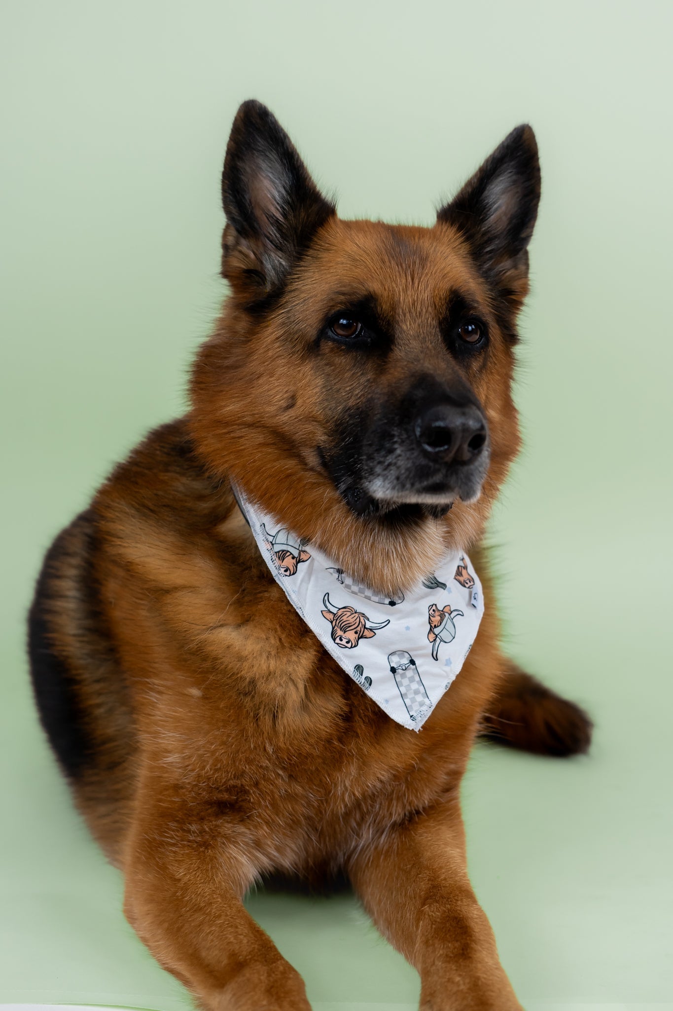 Exclusive Moo-ving Fast Dream Dog Bandana