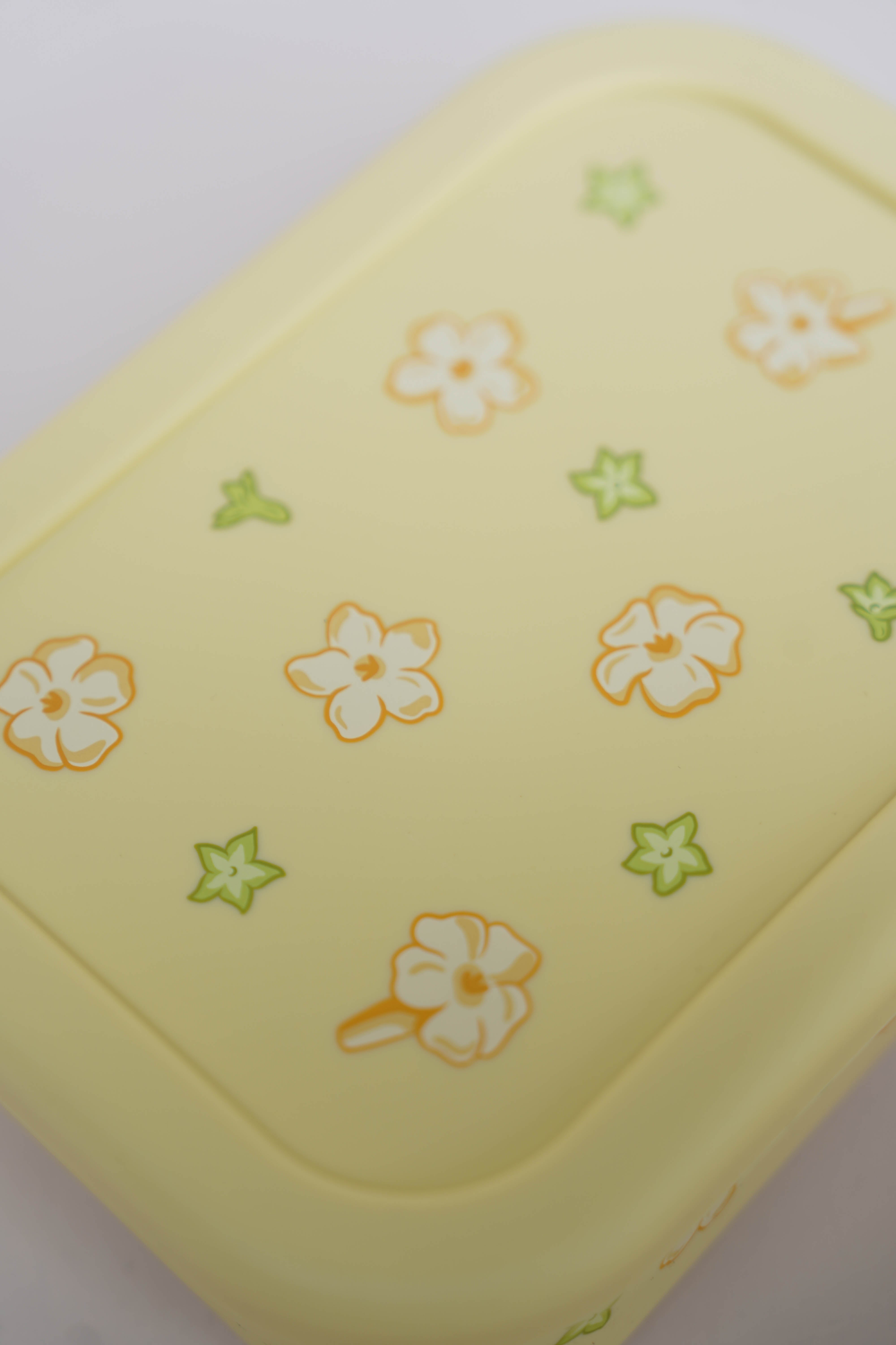 Bento Box
