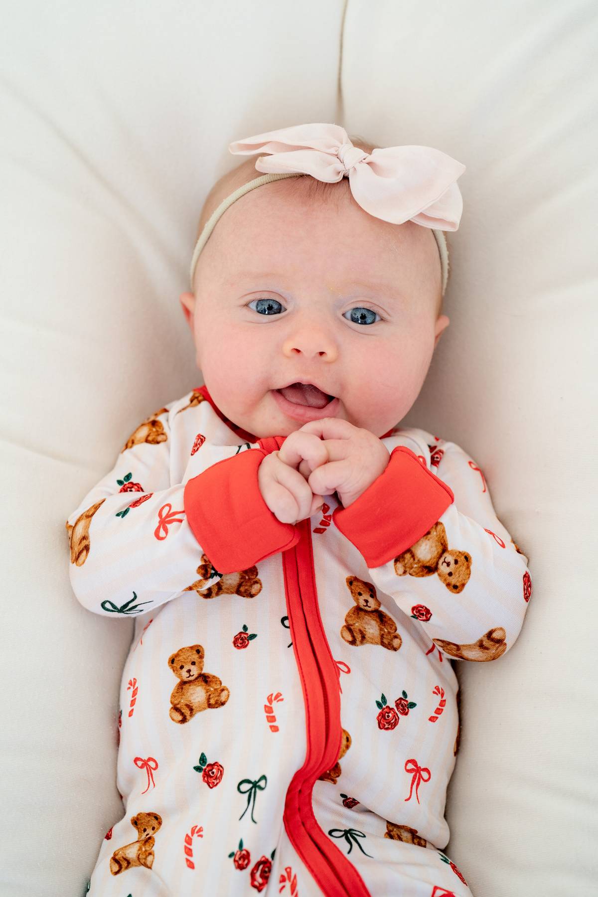 Teddy Bear Christmas | Zippy