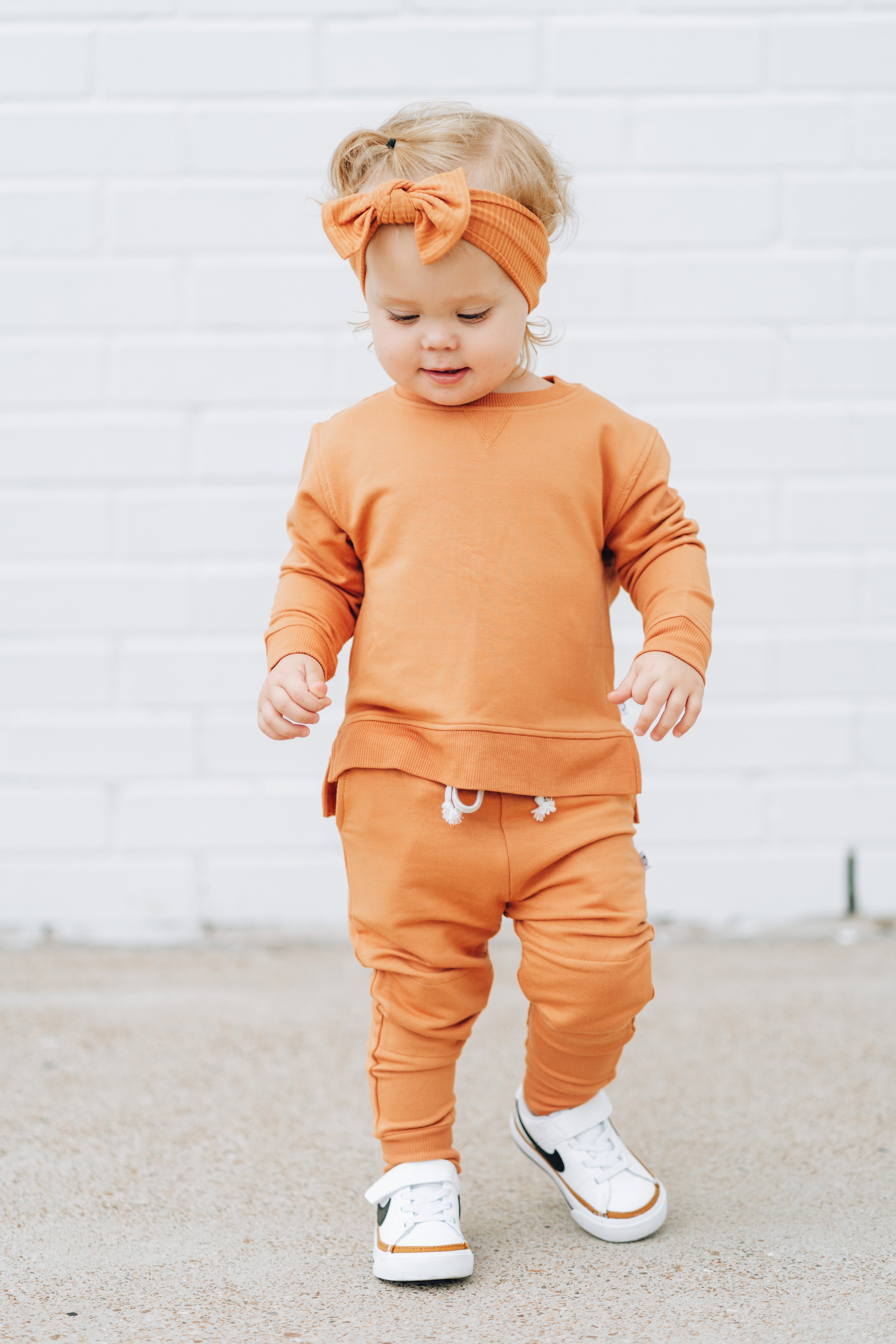 Pumpkin Dream Pullover
