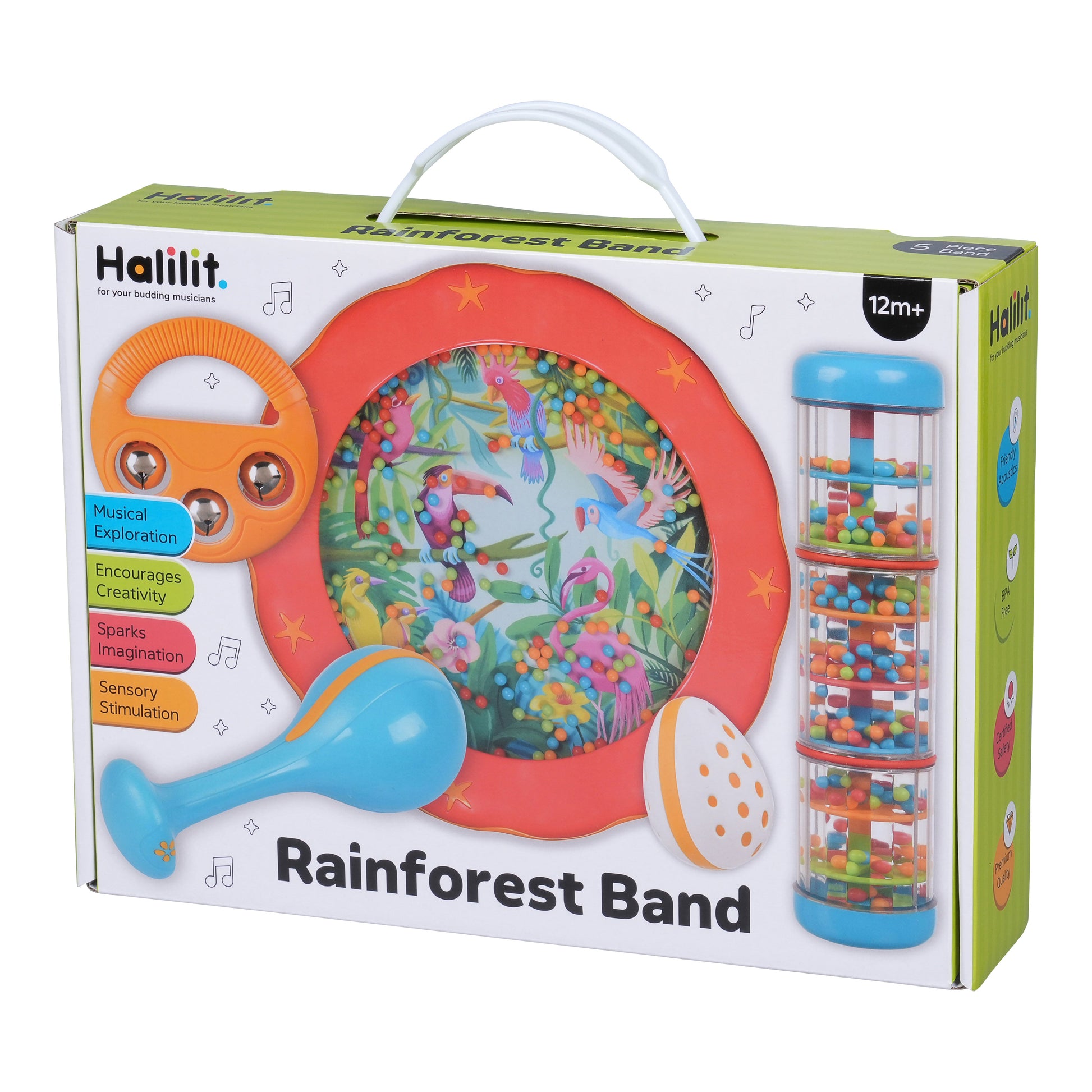 Rainforest Band