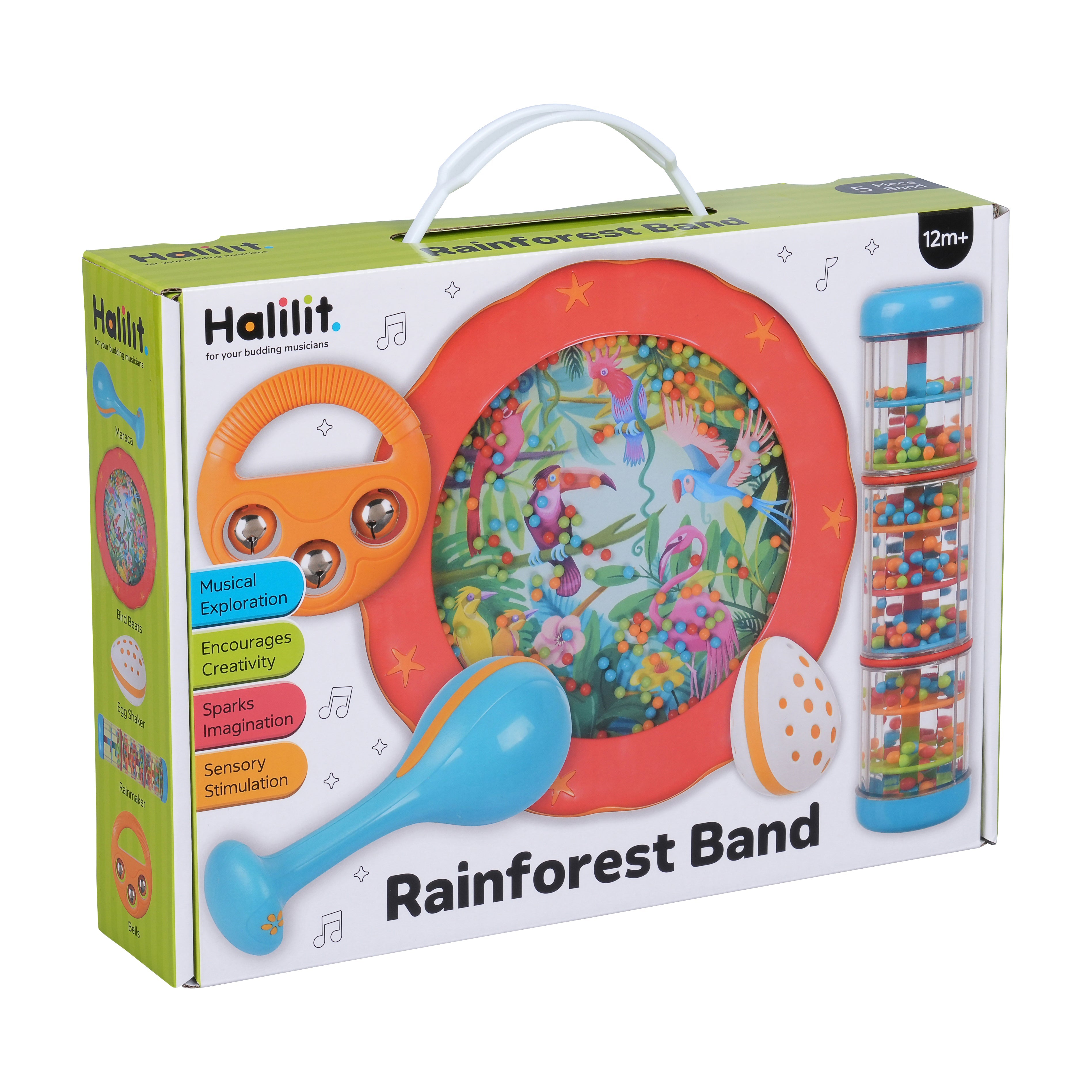 Rainforest Band