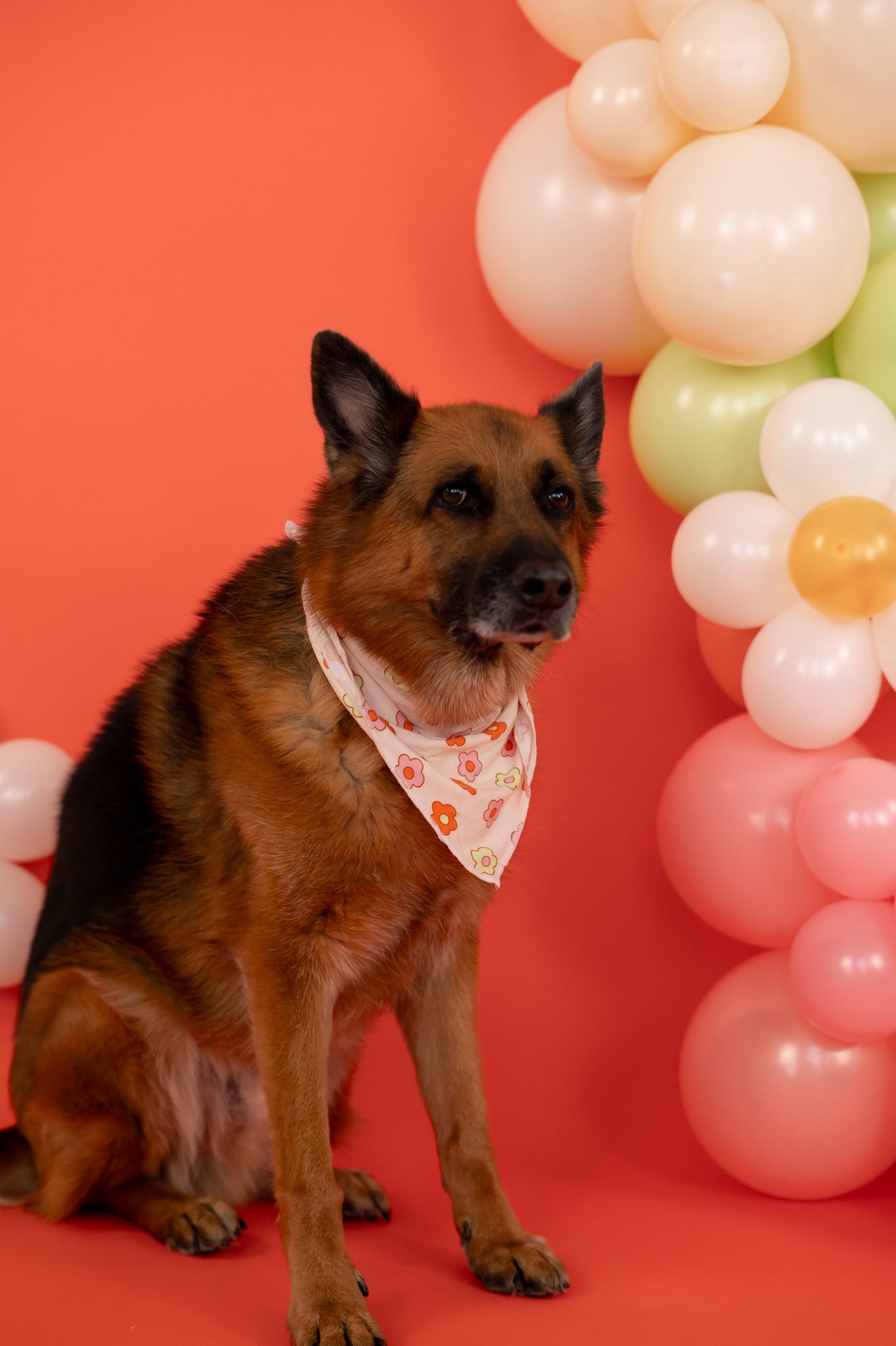 Feelin' Flowerful Dream Dog Bandana