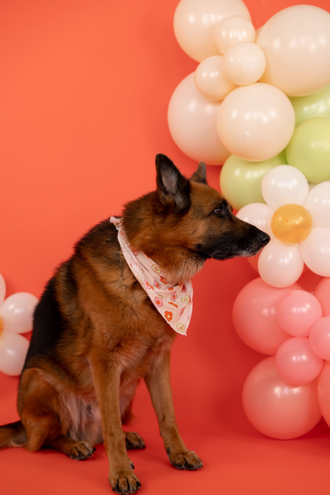 Feelin' Flowerful Dream Dog Bandana