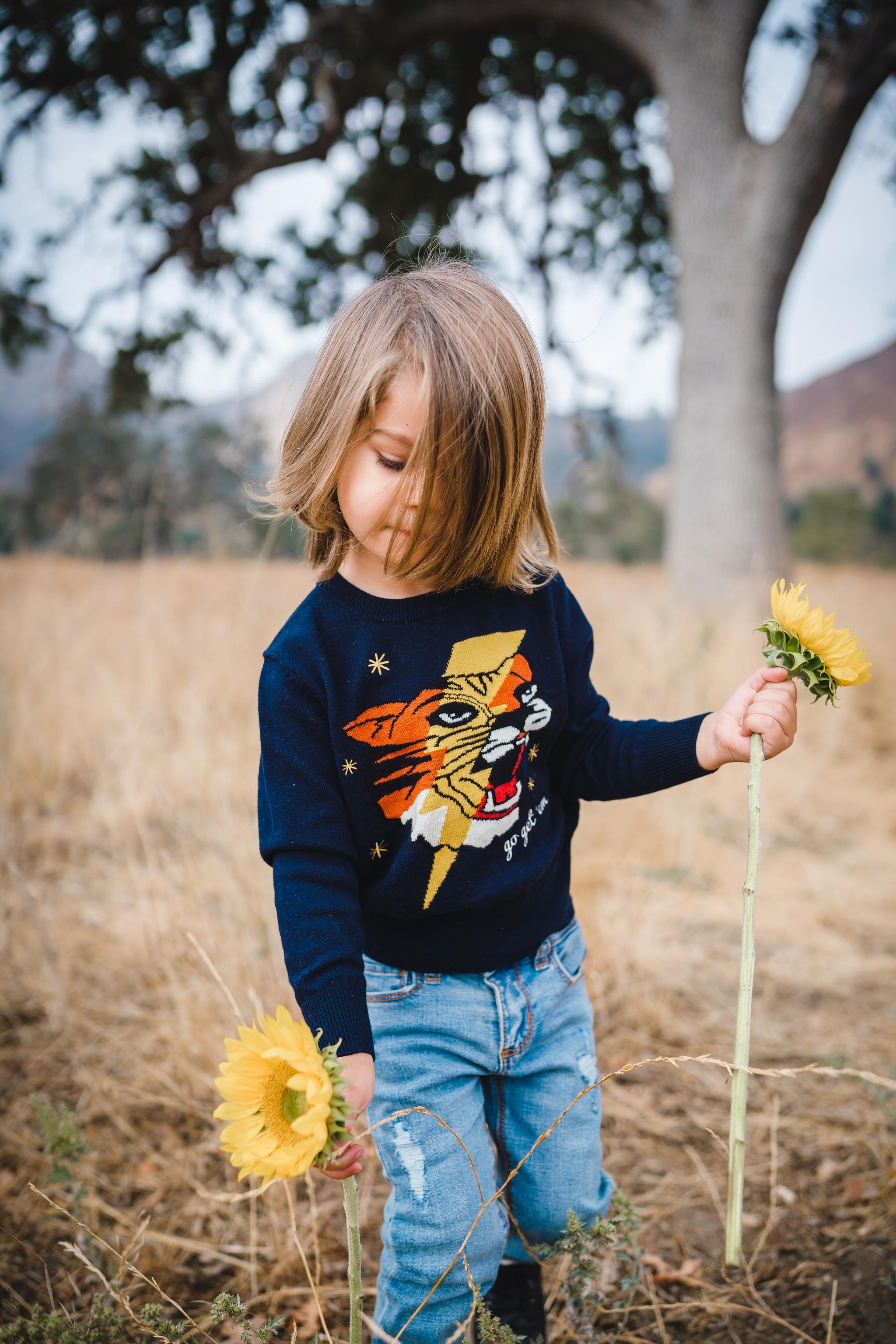 Go Get 'em Tiger Sweater Navy