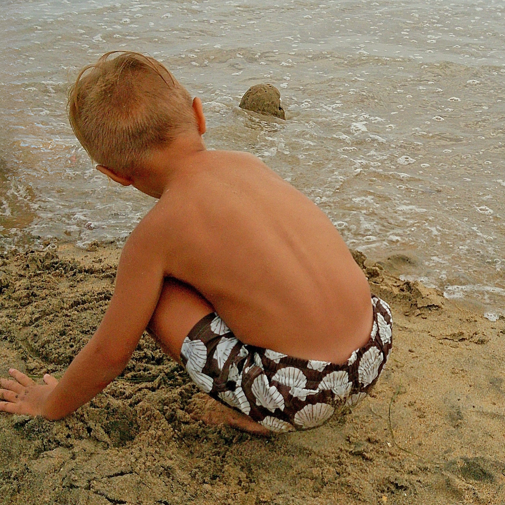 Child Board Short | Seashells