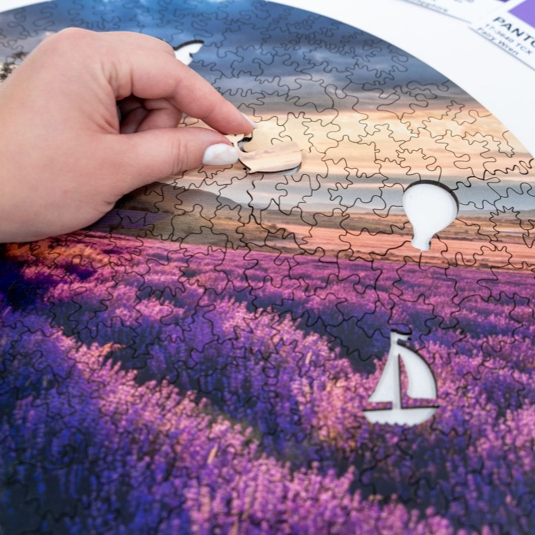 Puzzle Provance
