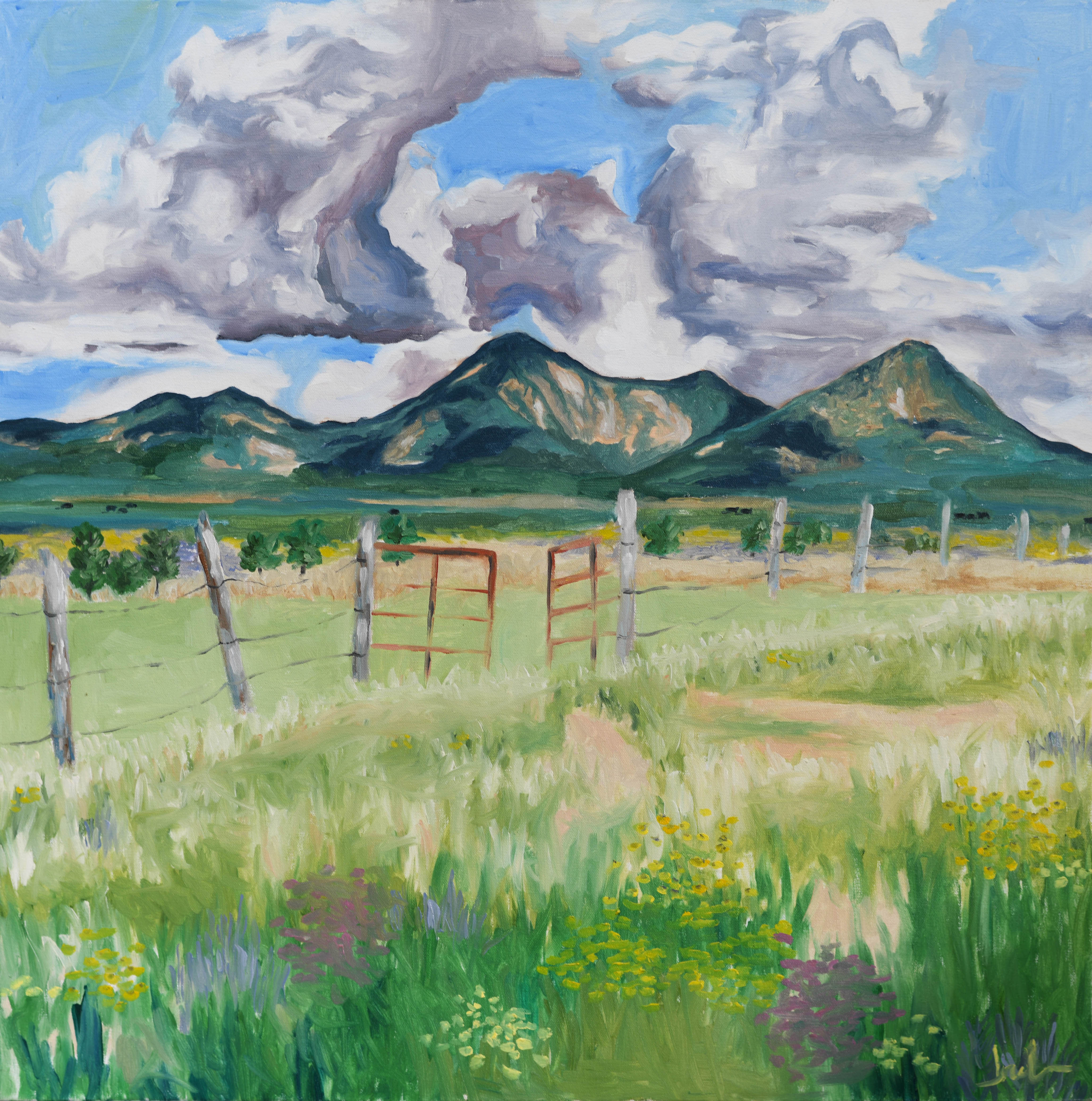 In A Field In Taos Print