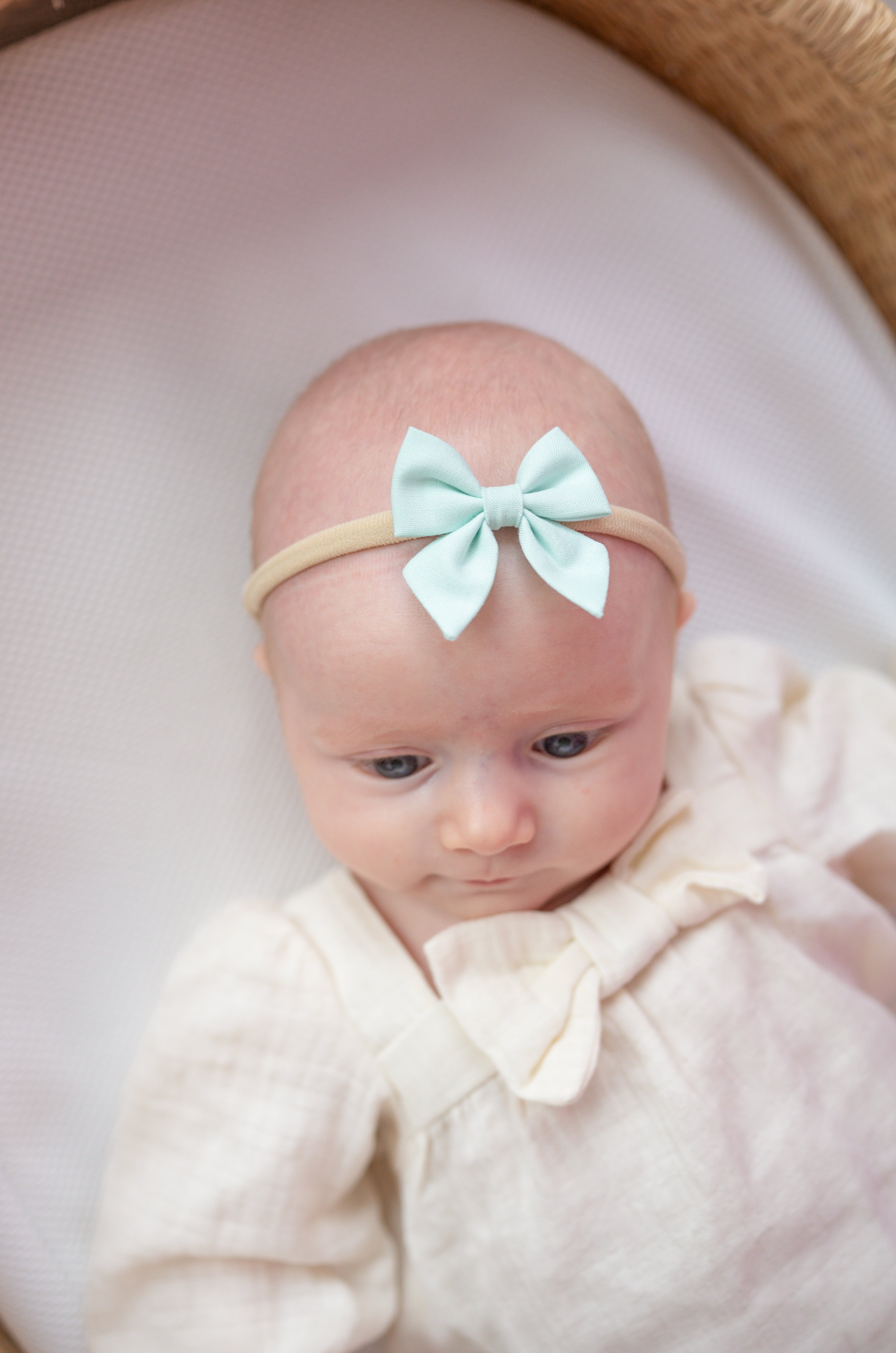 Spring Breeze | Mini Piggy Bow