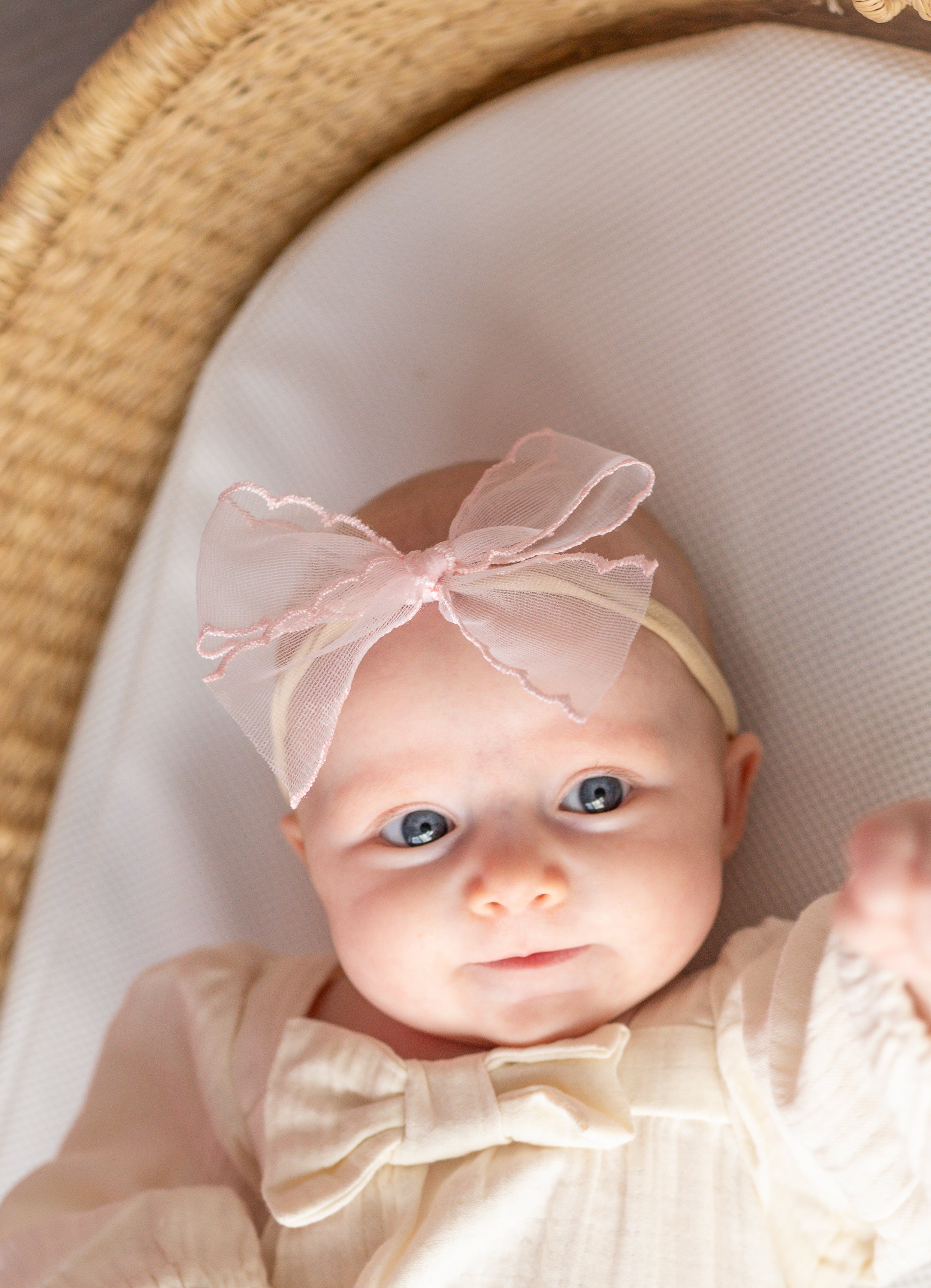 Pink Mist | Ribbon Bow