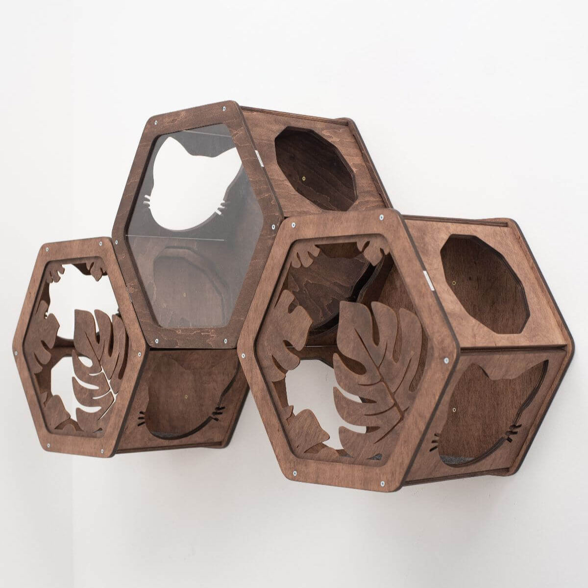 Wooden And Acrylic Frame For Hexagon