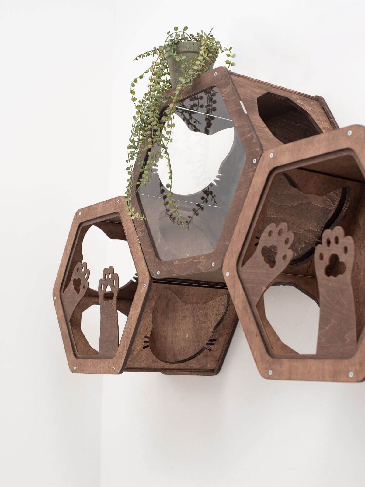 Wooden And Acrylic Frame For Hexagon