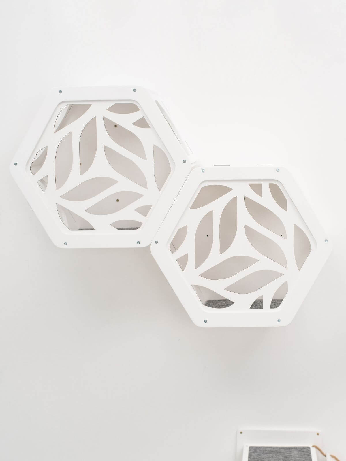 Wooden And Acrylic Frame For Hexagon