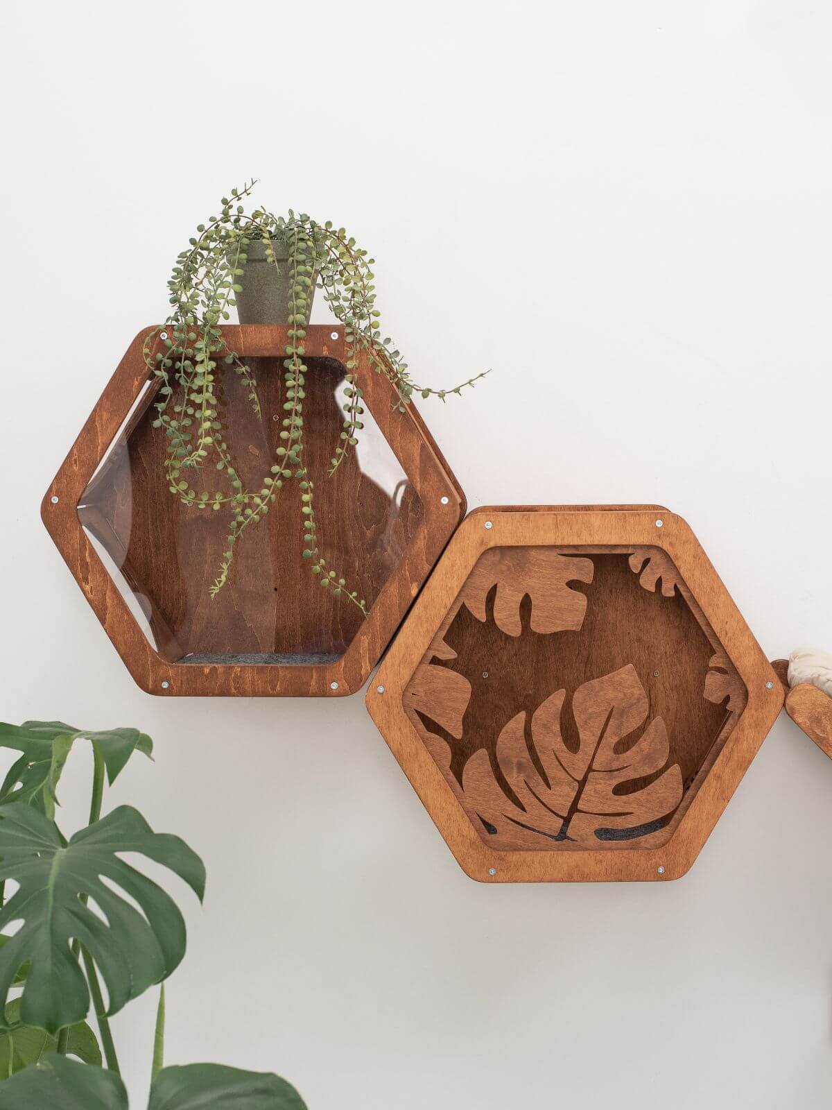Wooden And Acrylic Frame For Hexagon