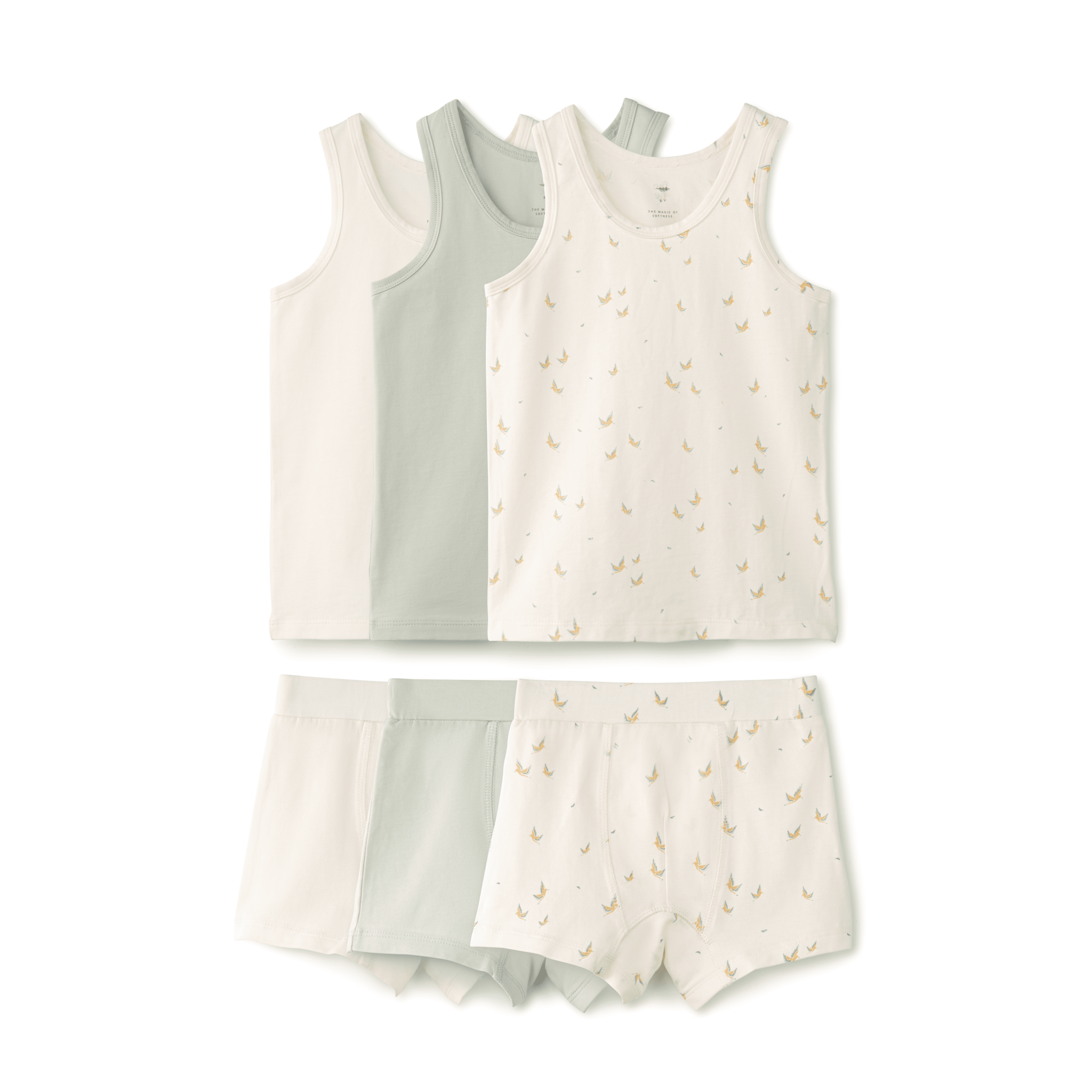 Boy's Undies Set-shorts