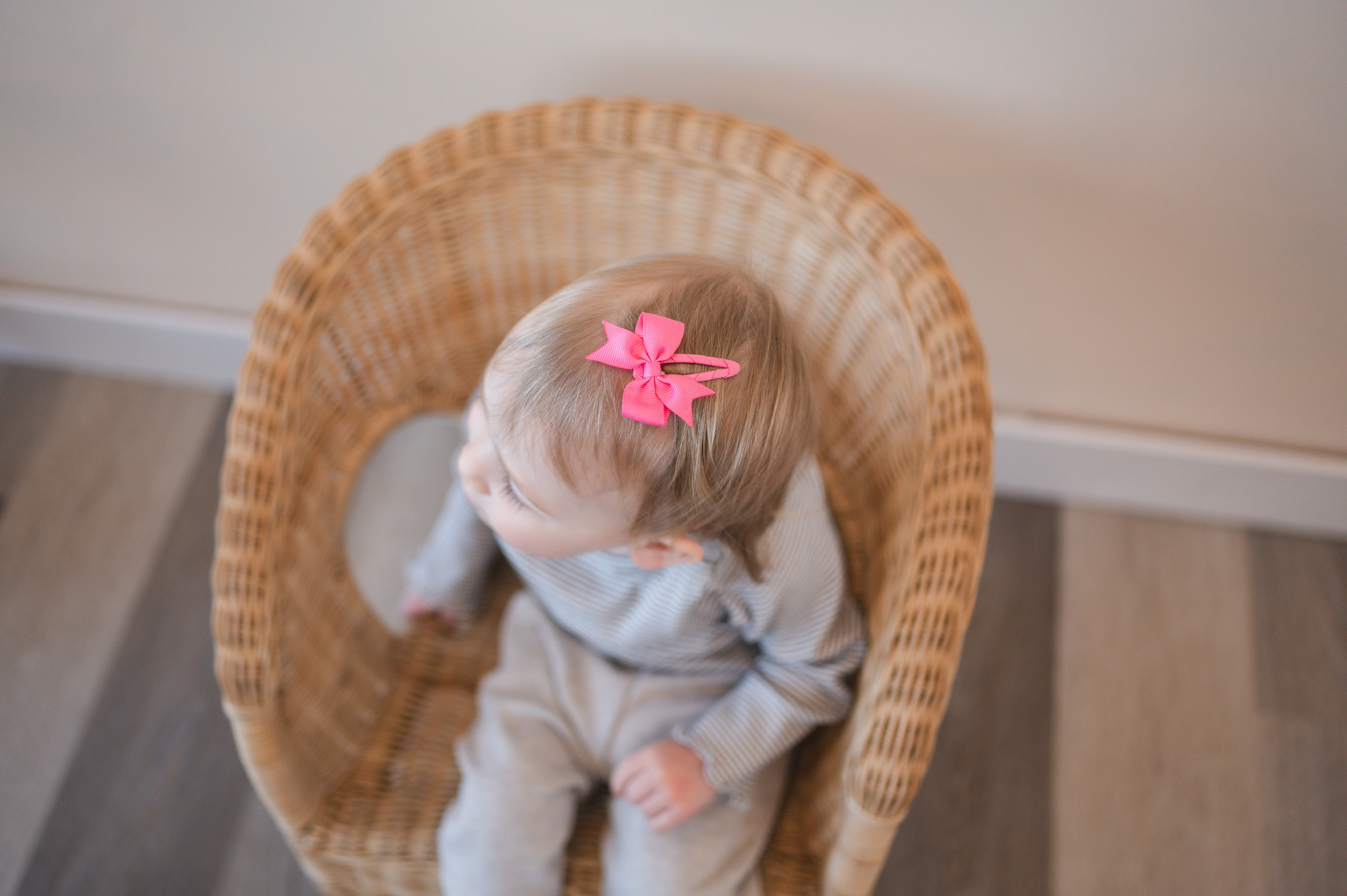 Perfect Pink | Snap Clip Set