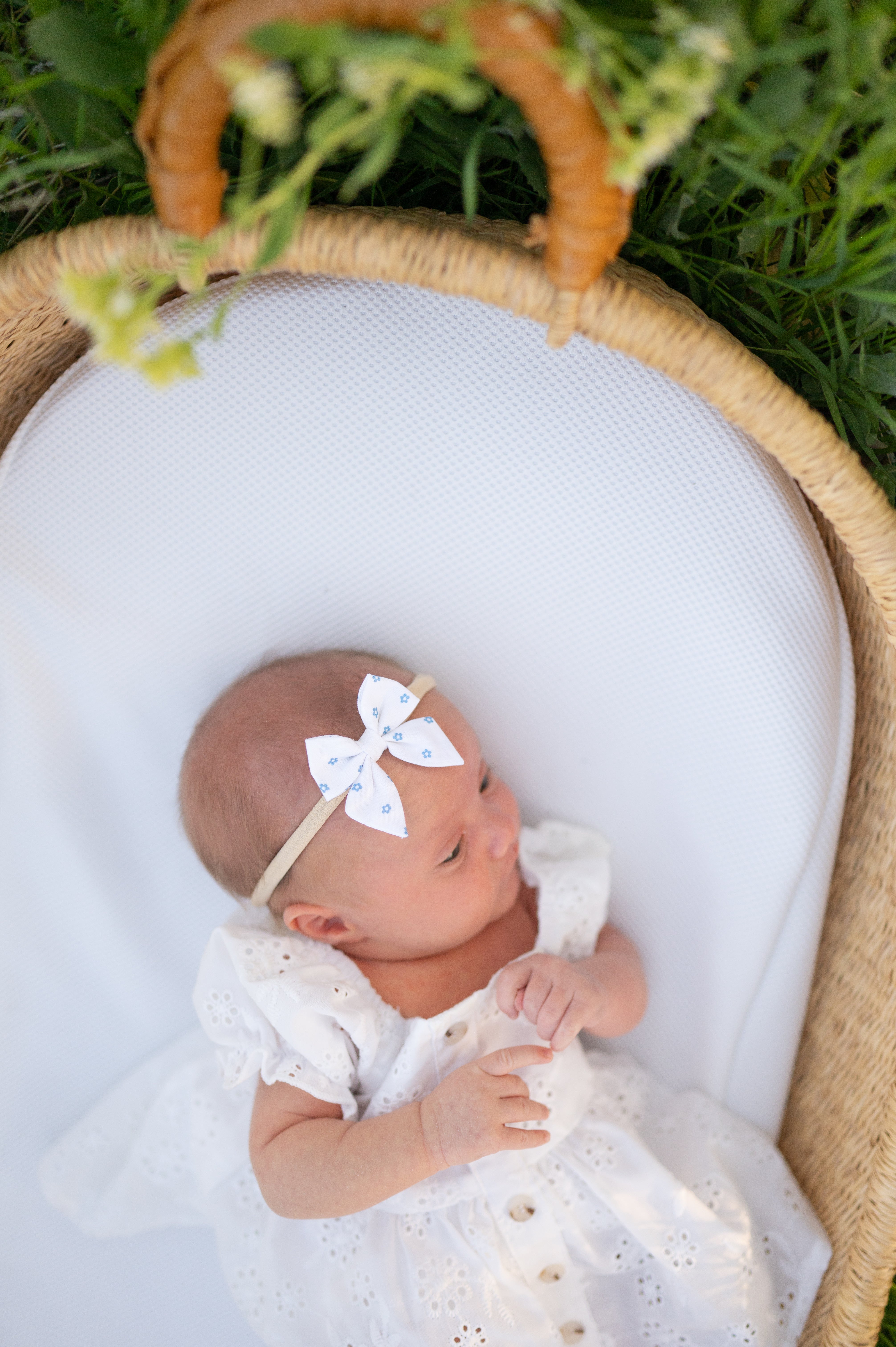 Indy Bloom- Blue | Mini Piggy Bow