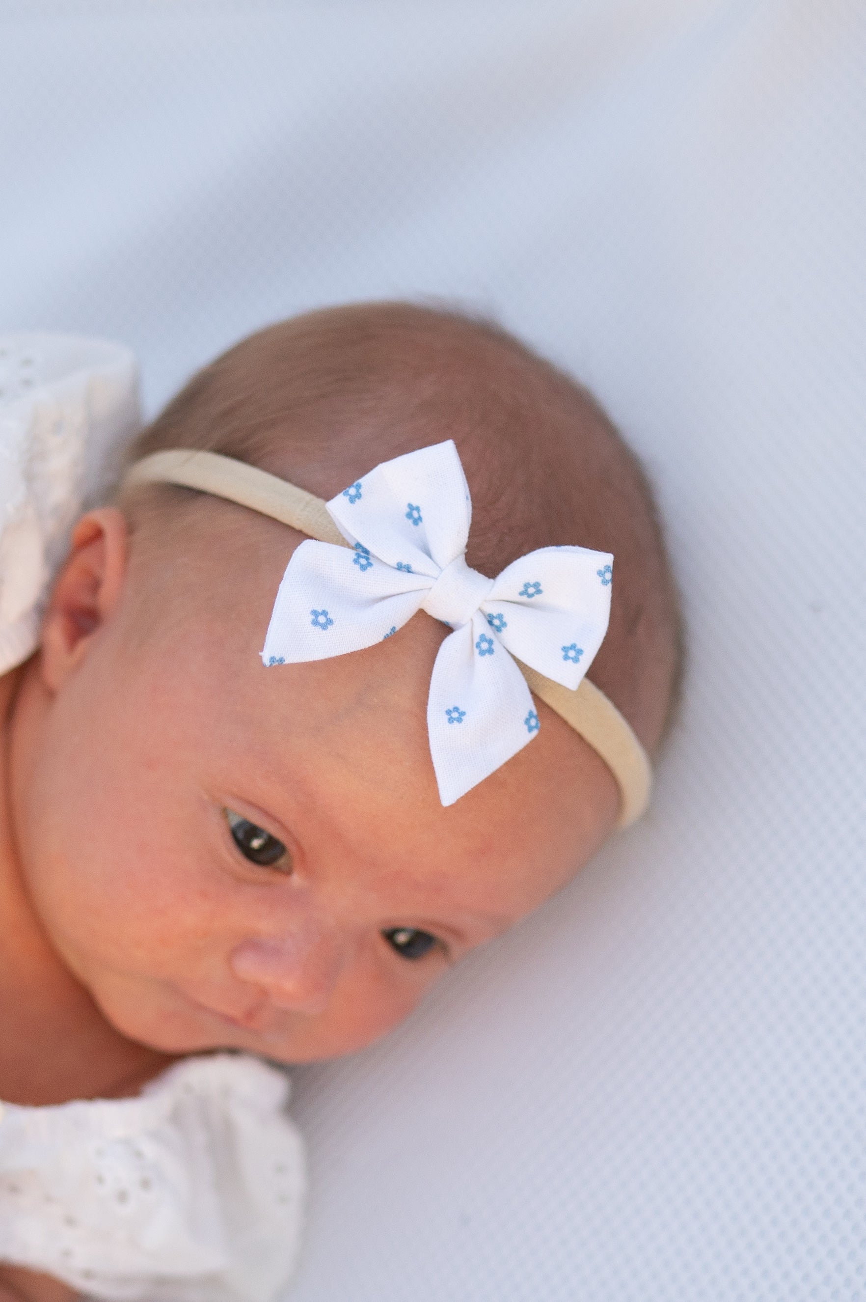 Indy Bloom- Blue | Mini Piggy Bow