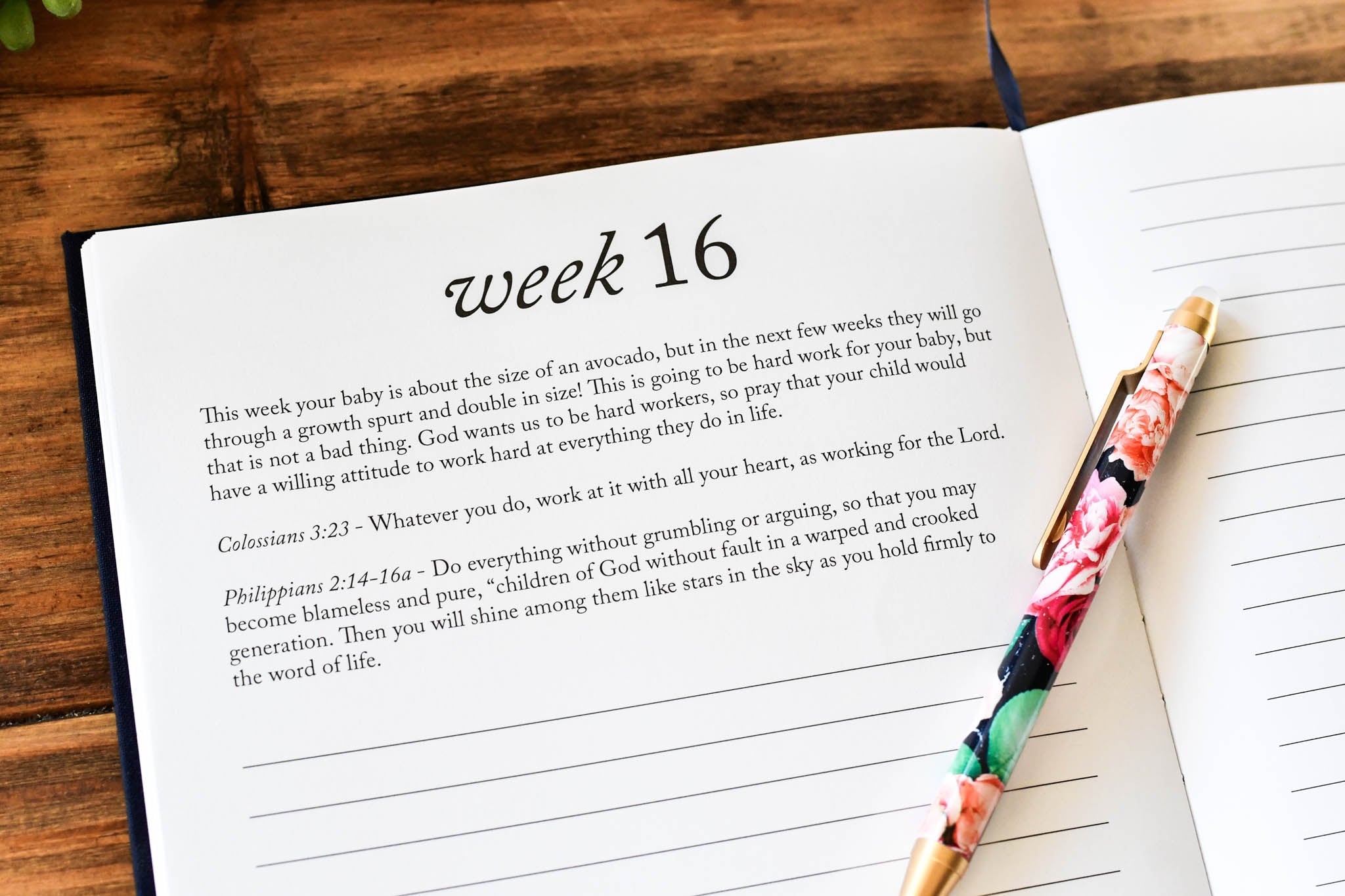 Dear Baby: Pregnancy Prayer Journal