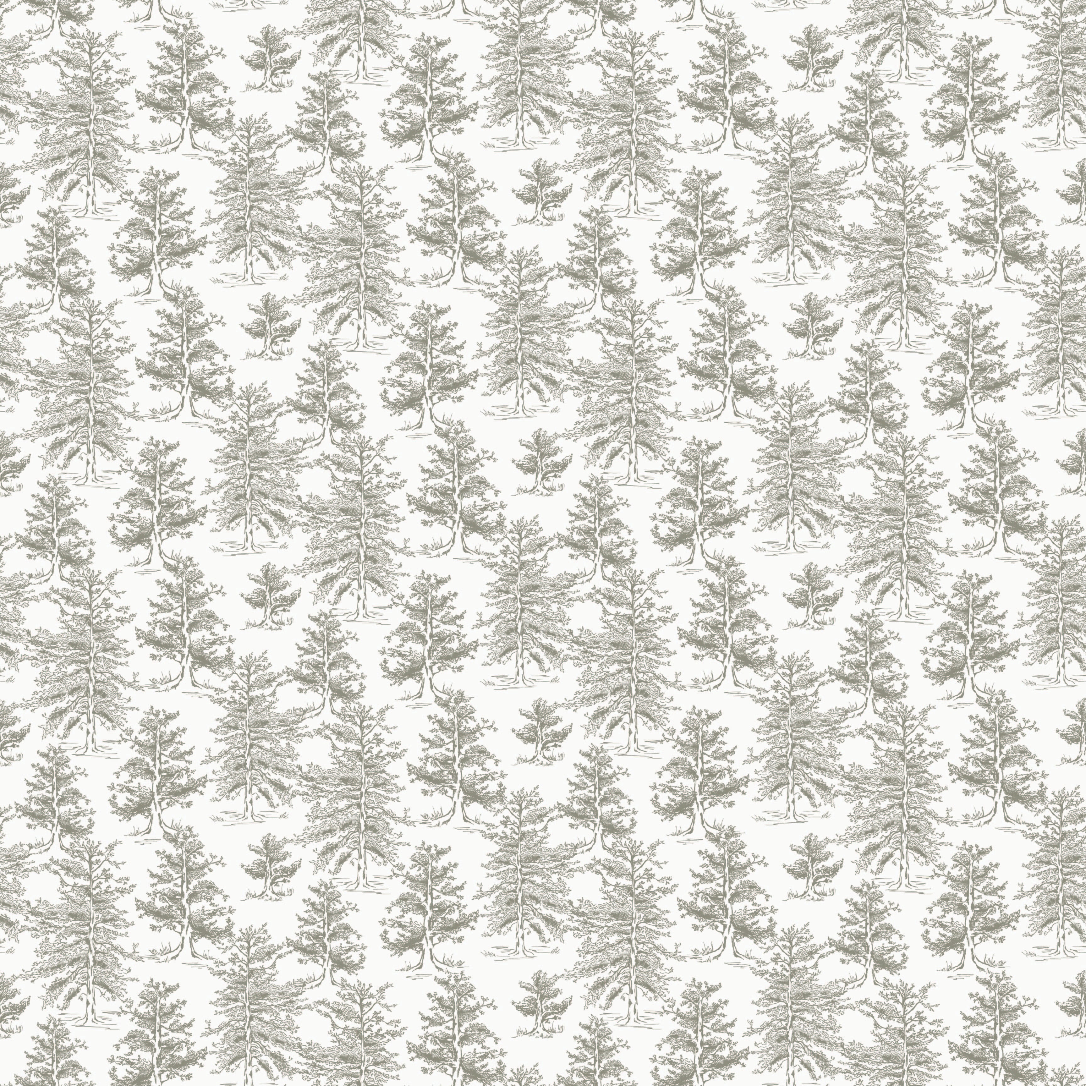 Dakota Wallpaper By Aubrey Fairchild