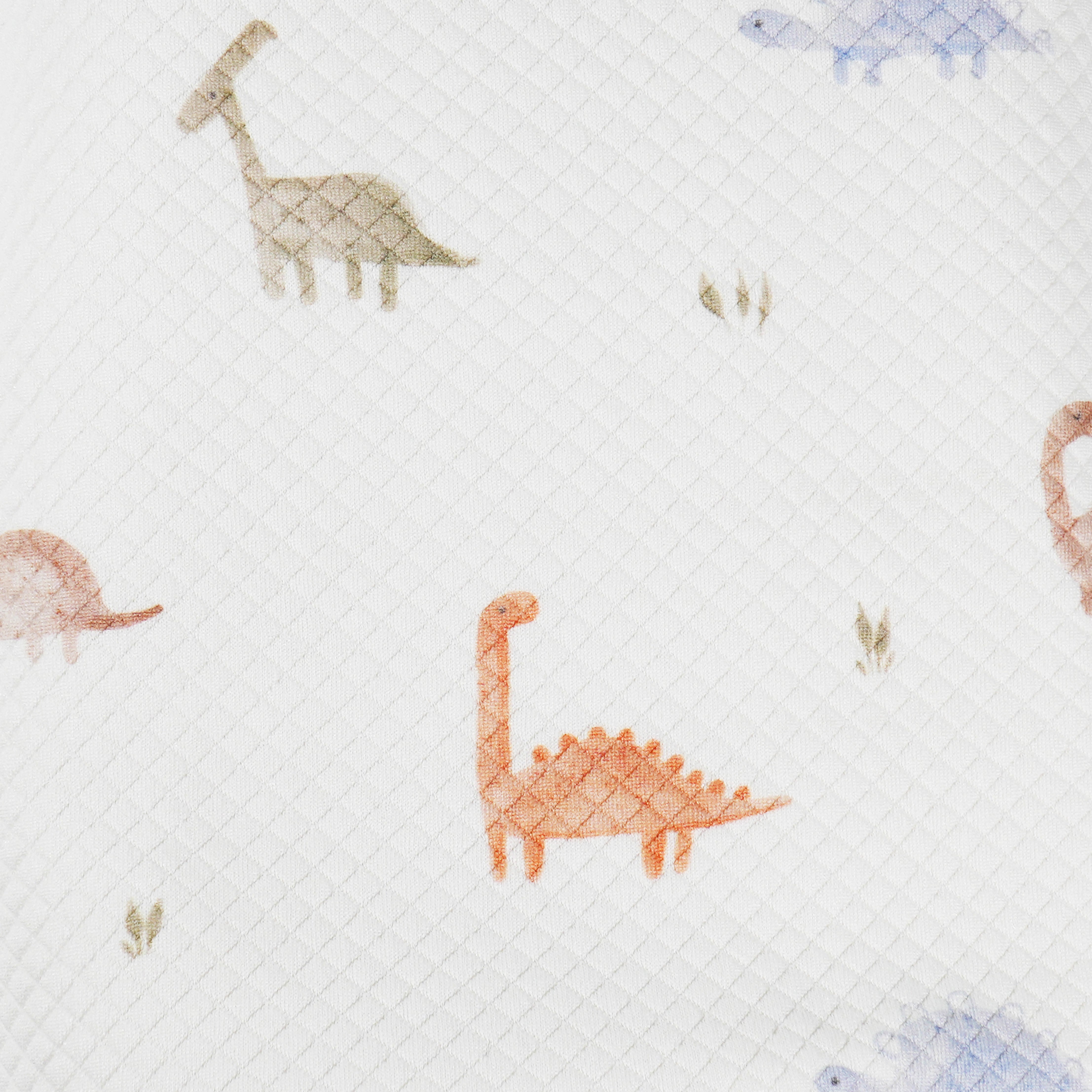 Dinosaur Pattern Printed Knit Blanket