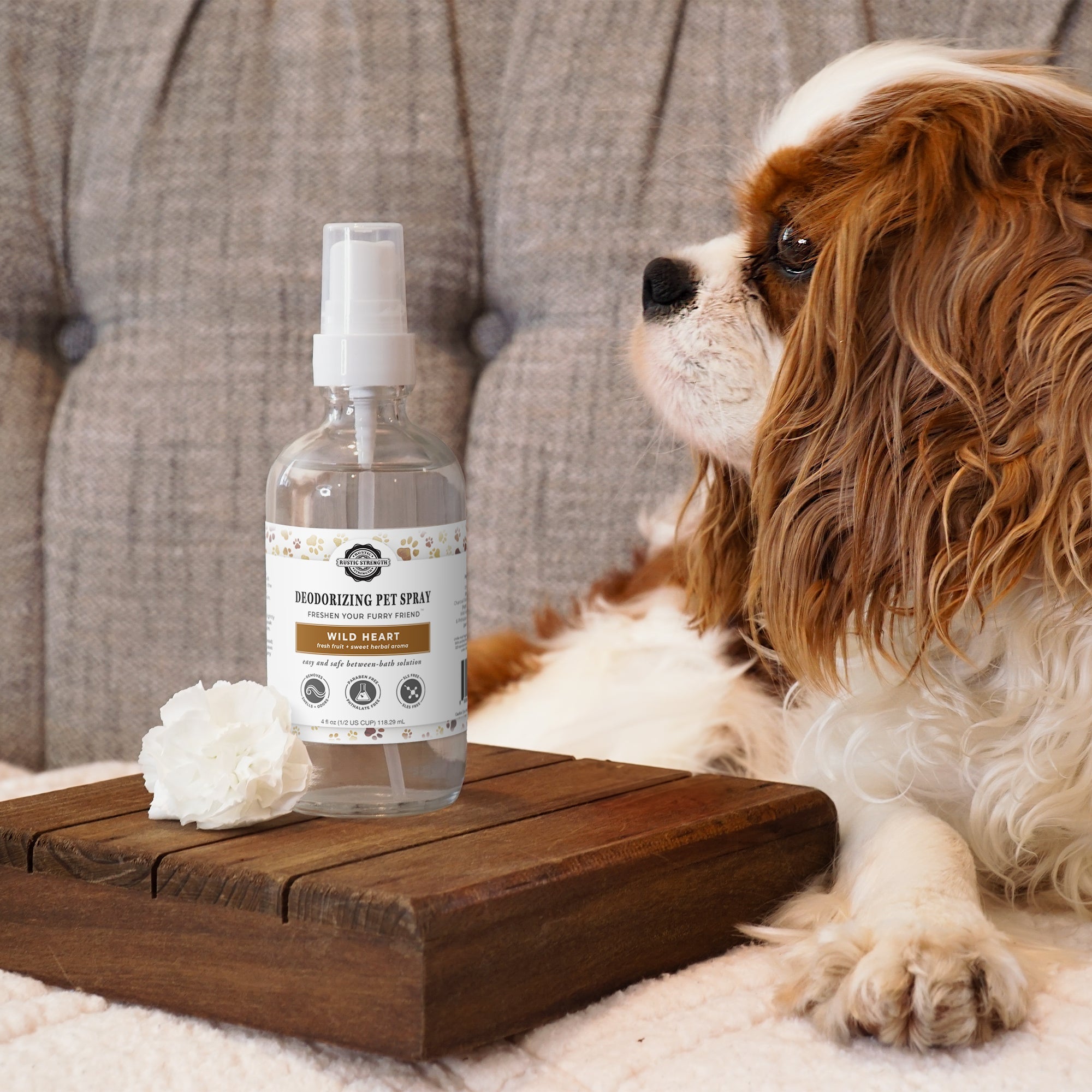 Deodorizing Pet Spray | The Between-wash Wonder