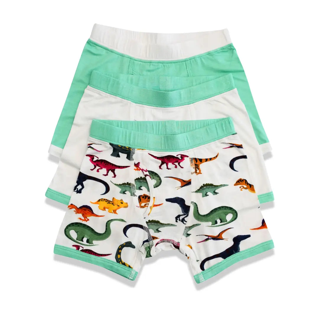 Dino Dreamers Boys' Boxer Briefs